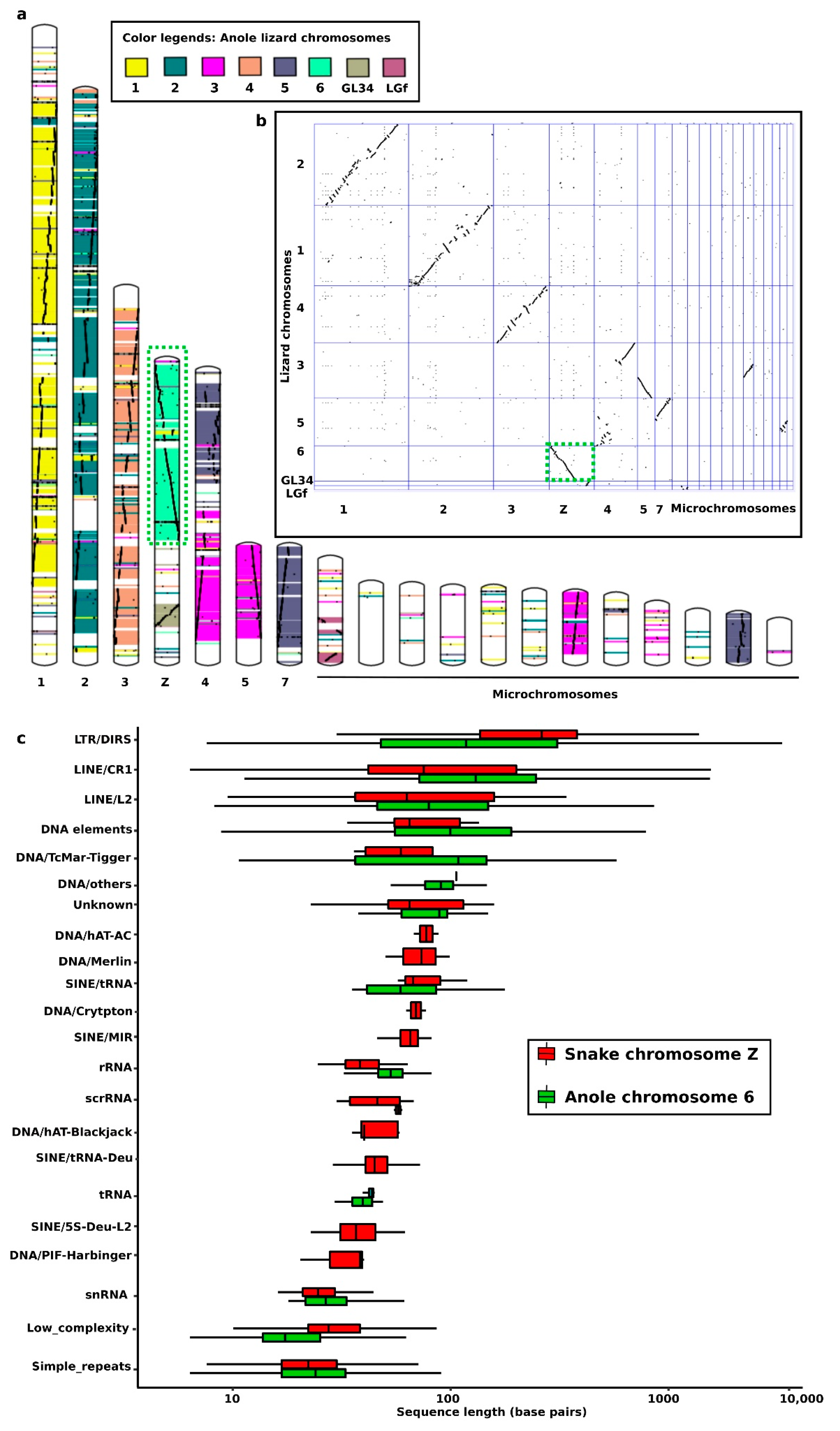 Cells 10 01707 g001 Cells 10 01707 g001