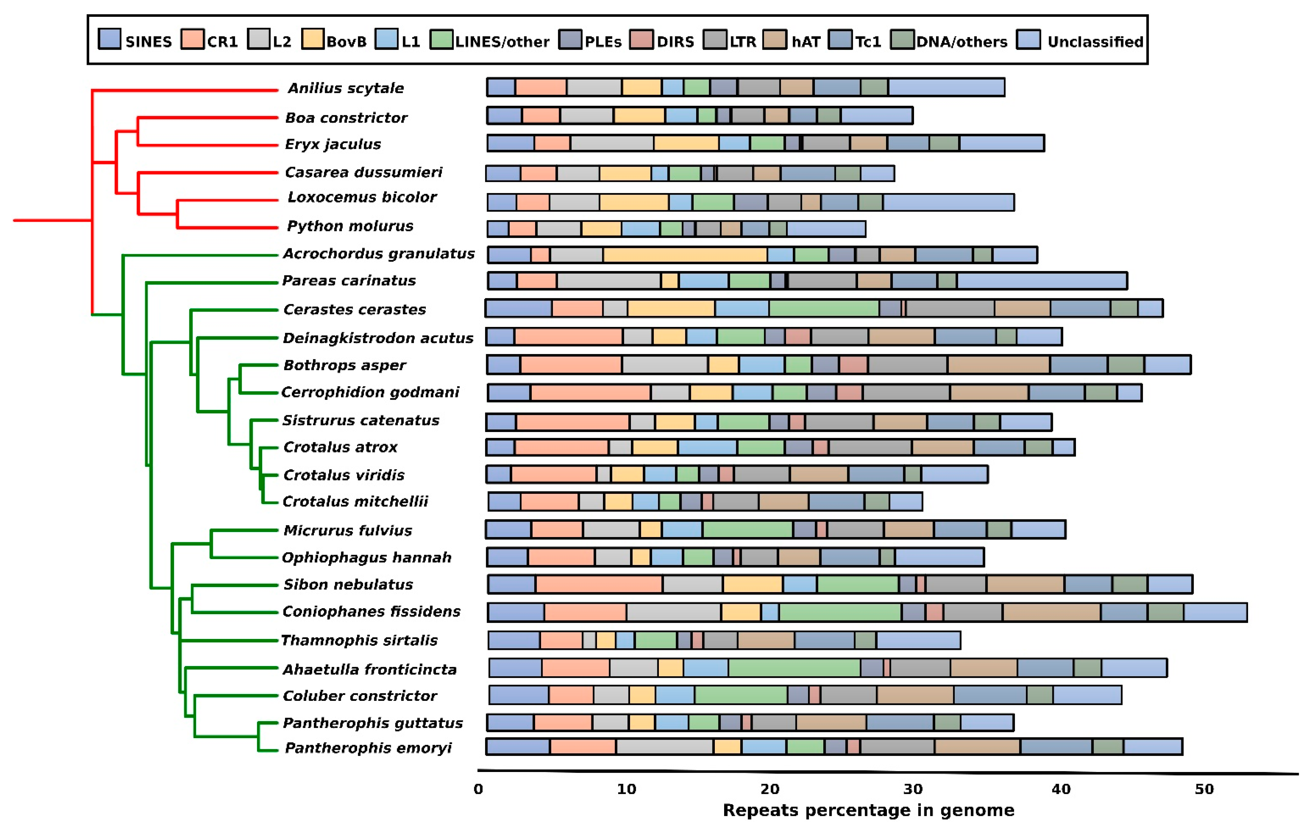 Cells 10 01707 g002 Cells 10 01707 g002
