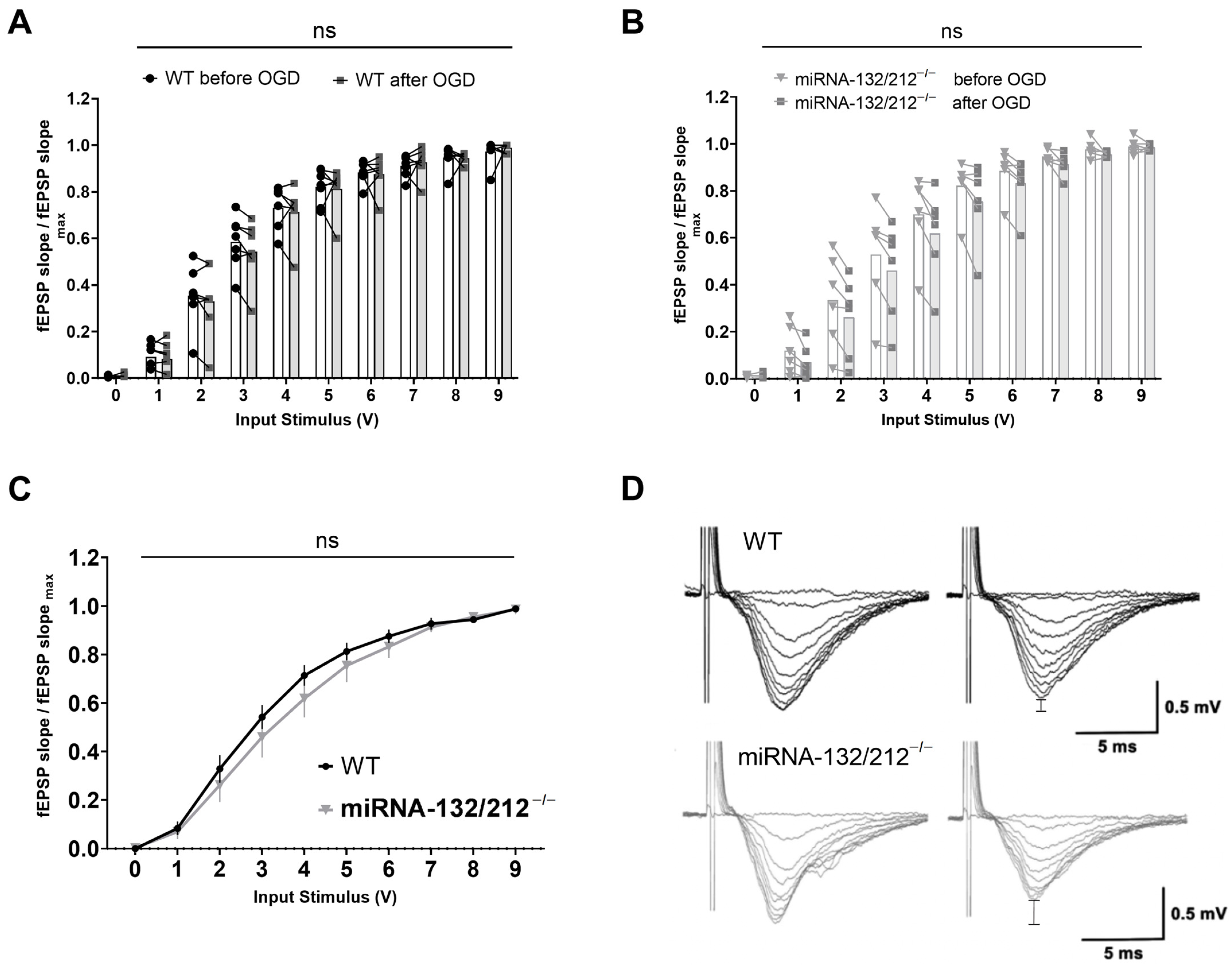 Cells 10 01709 g005 Cells 10 01709 g005