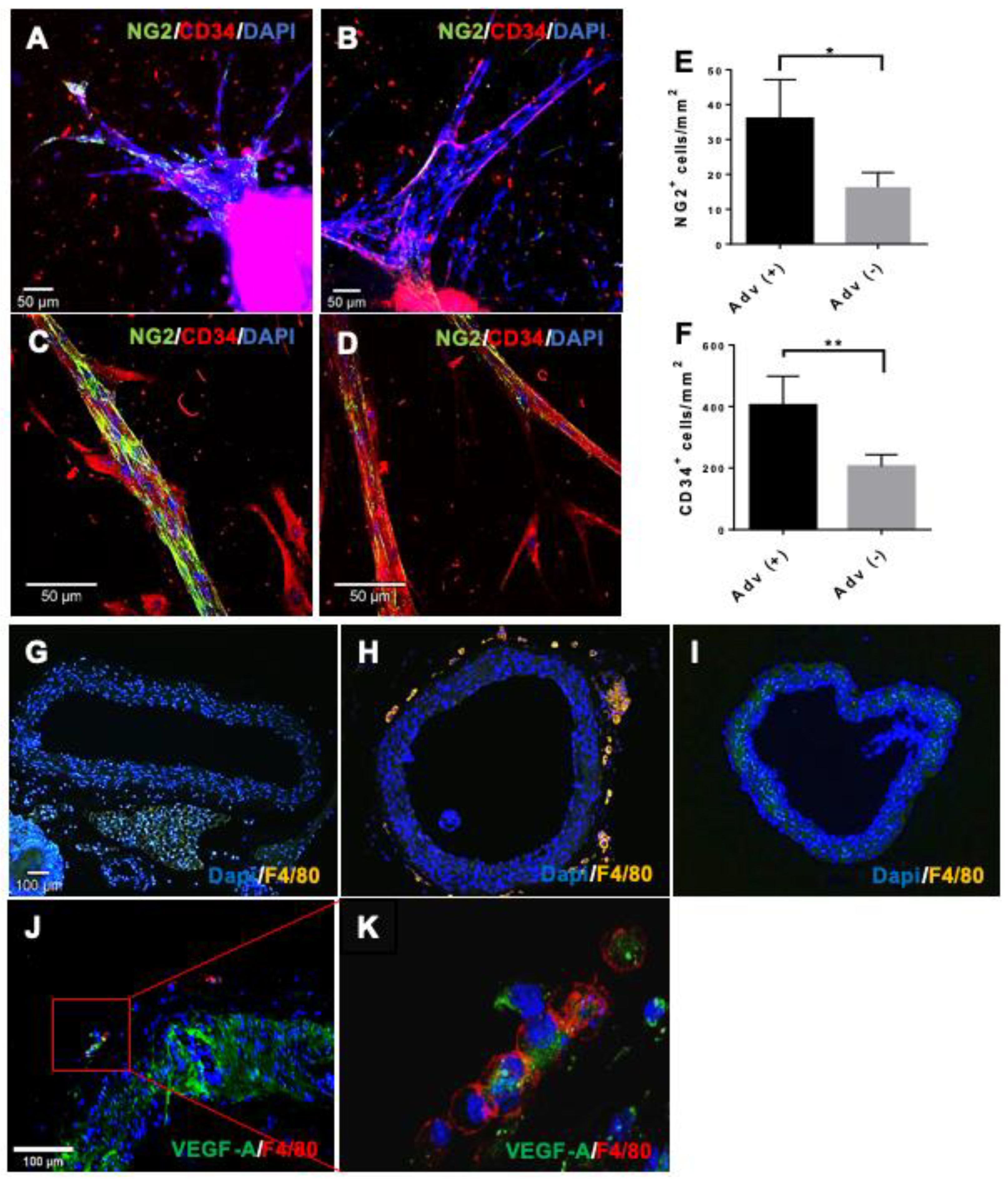 Cells 10 01719 g003a 550