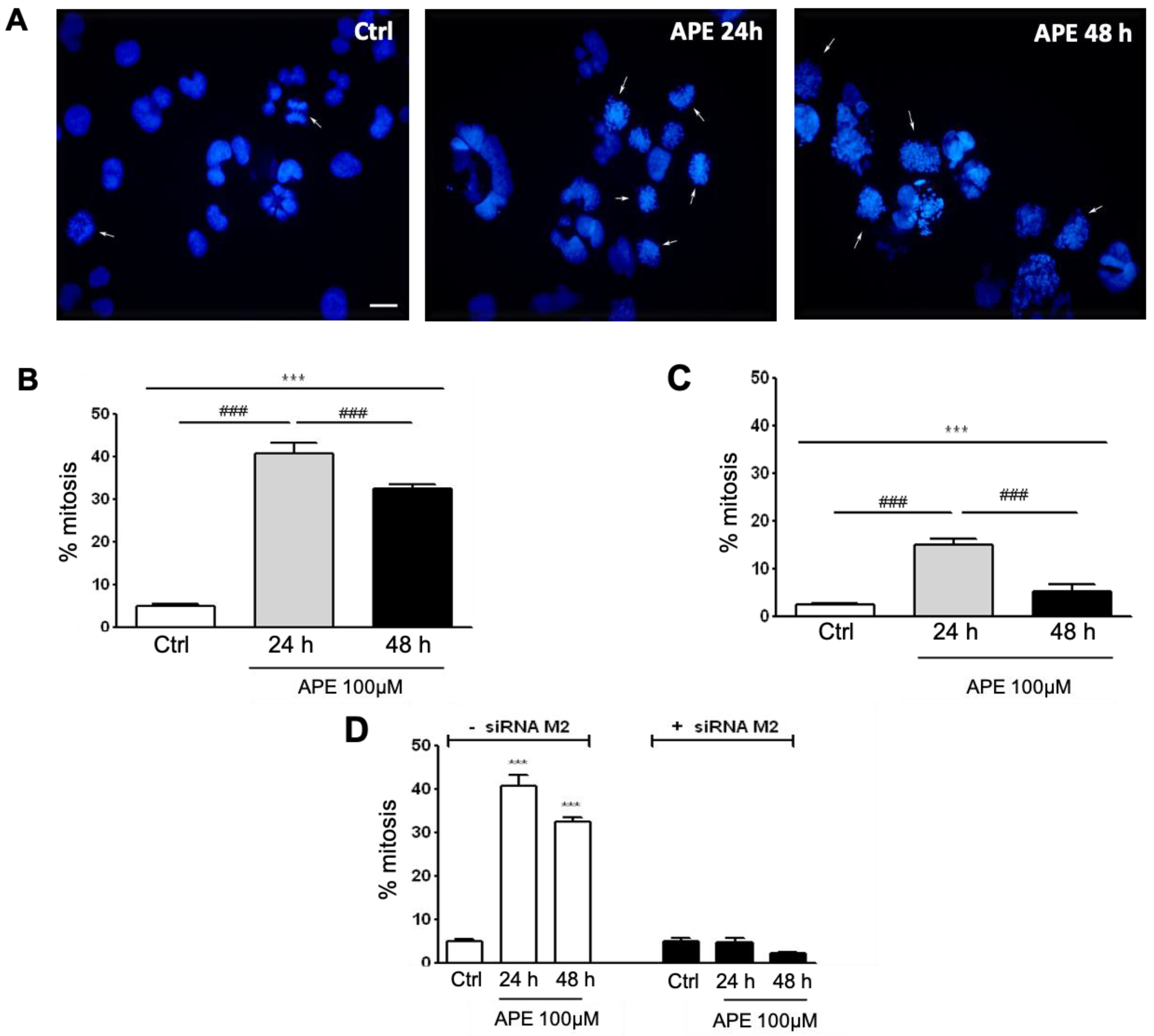Cells 10 01727 g002 Cells 10 01727 g002