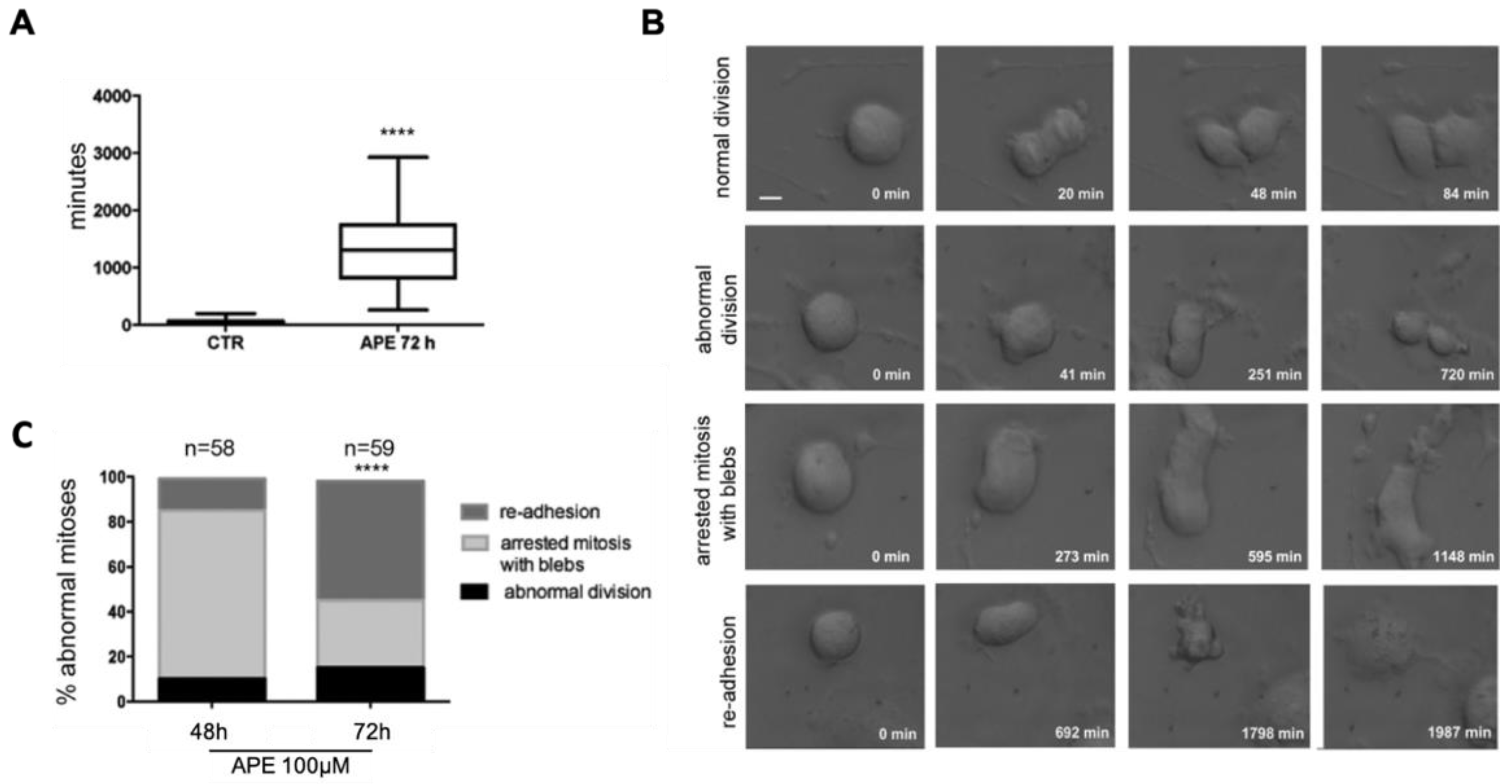Cells 10 01727 g003 Cells 10 01727 g003
