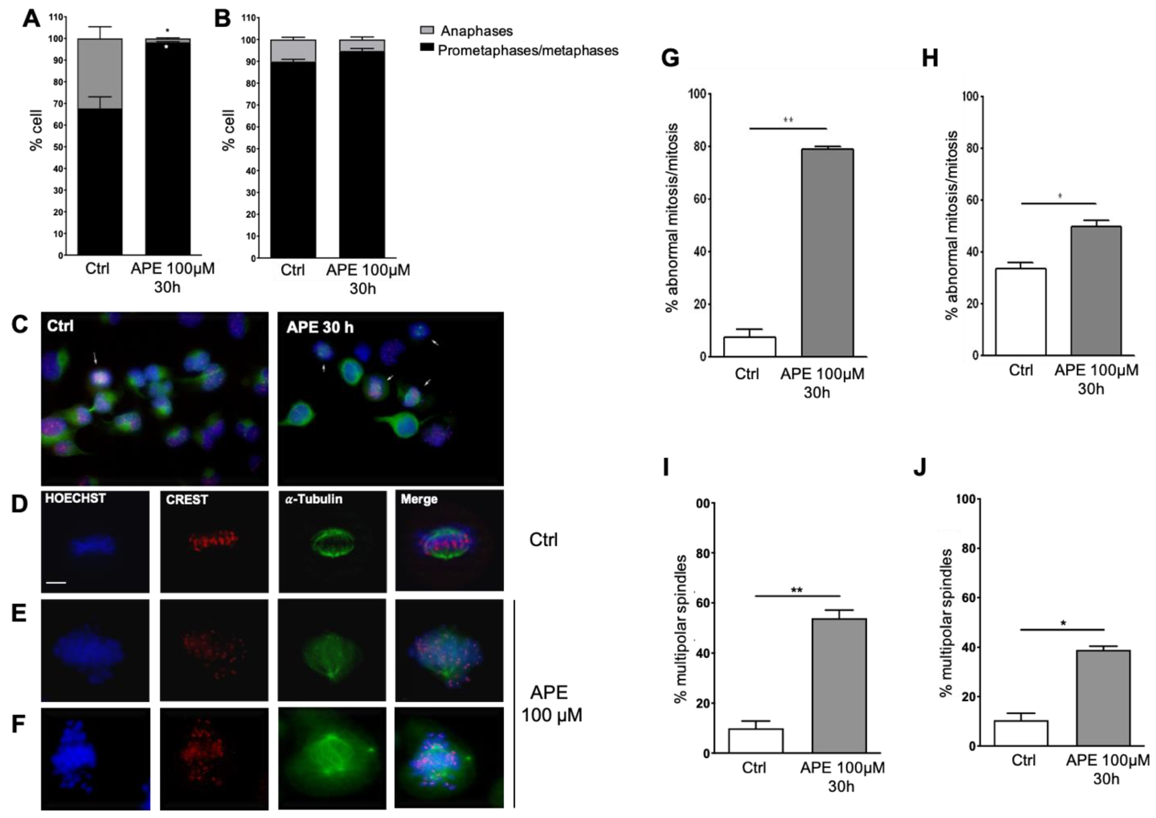 Cells 10 01727 g004 Cells 10 01727 g004