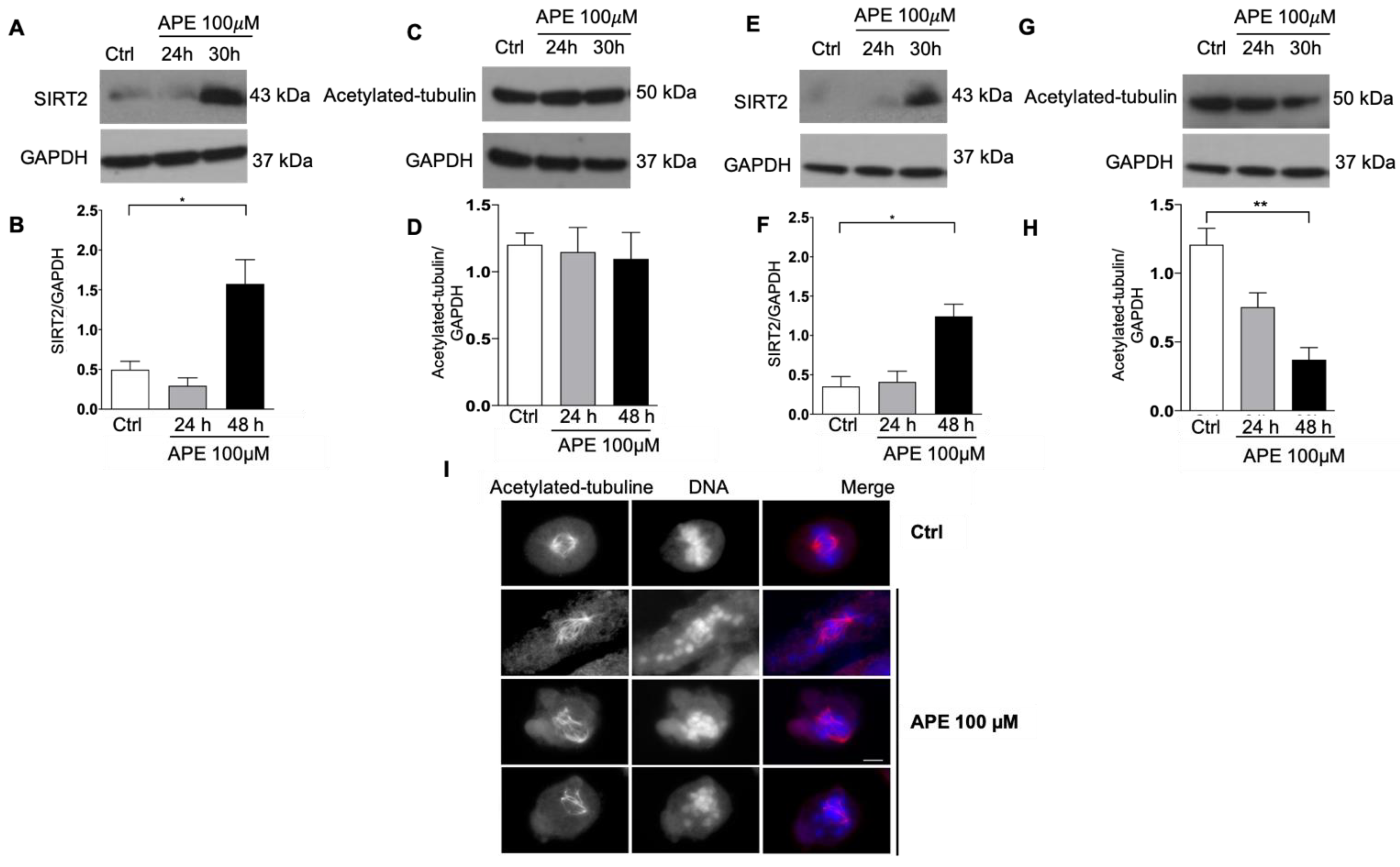 Cells 10 01727 g005 Cells 10 01727 g005