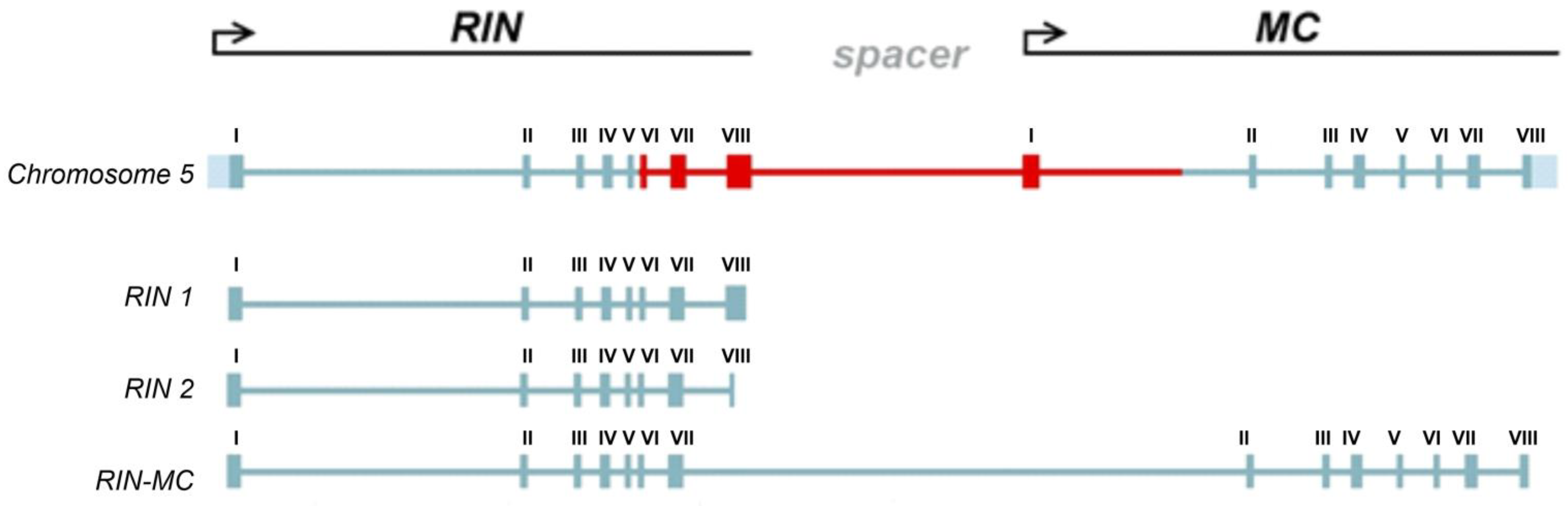 Cells 10 01739 g002 Cells 10 01739 g002