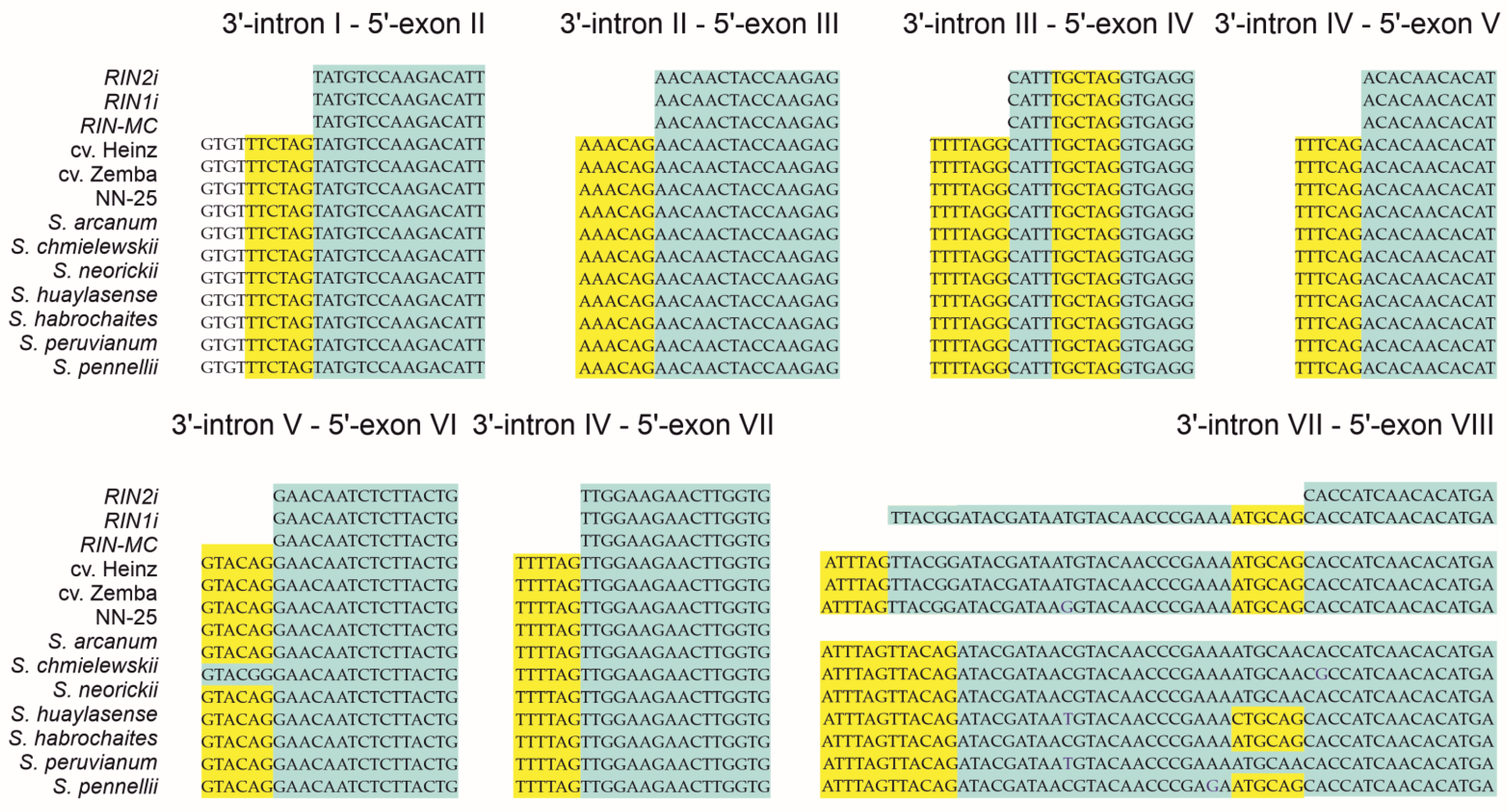 Cells 10 01739 g003 Cells 10 01739 g003