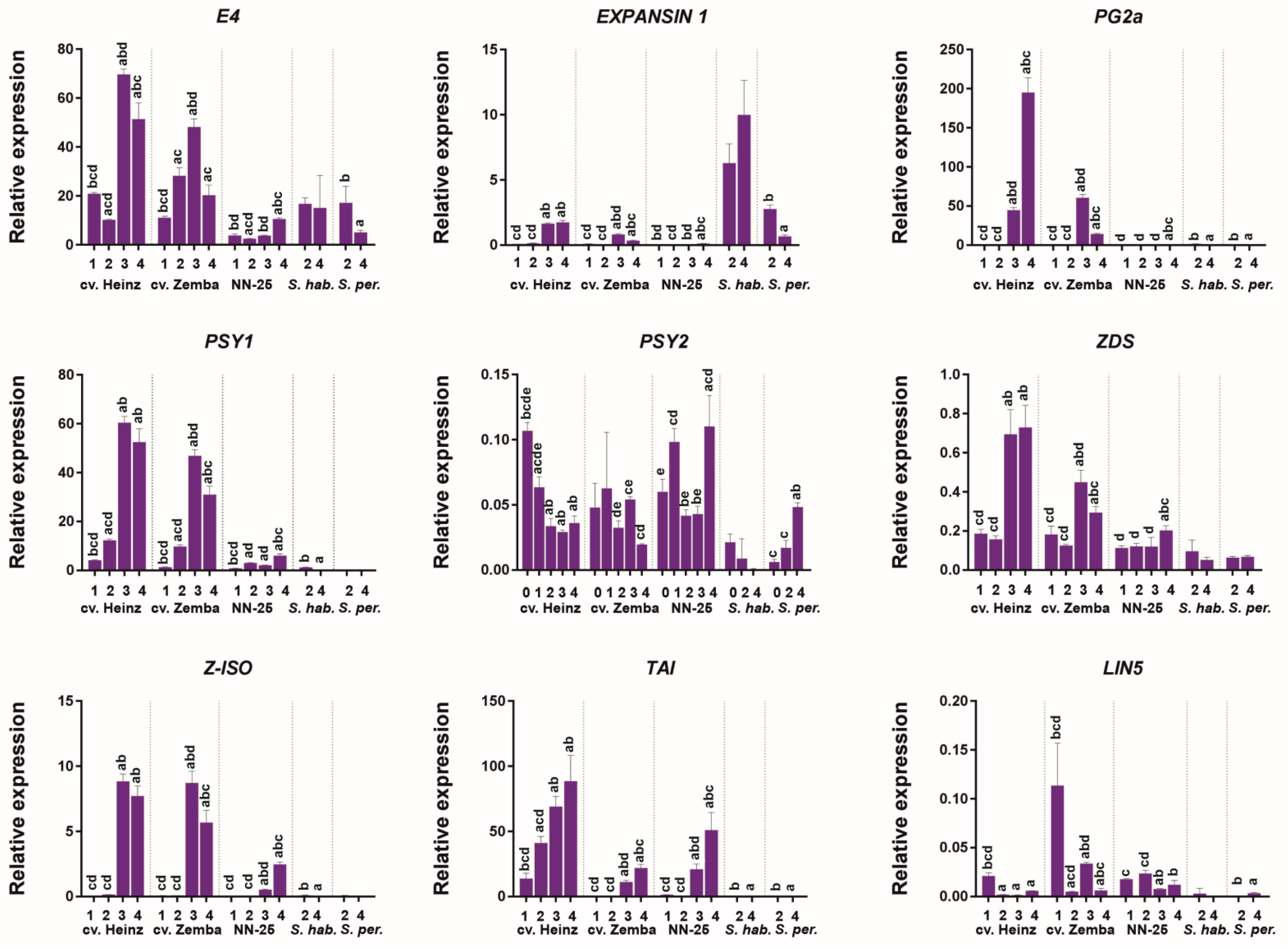 Cells 10 01739 g005 Cells 10 01739 g005