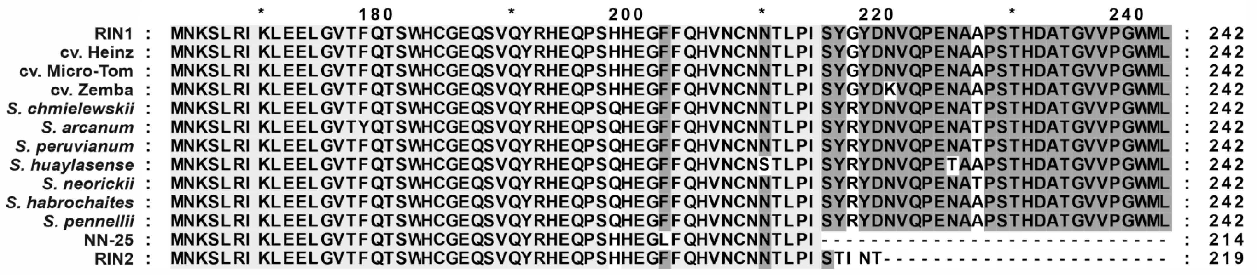 Cells 10 01739 g006 Cells 10 01739 g006