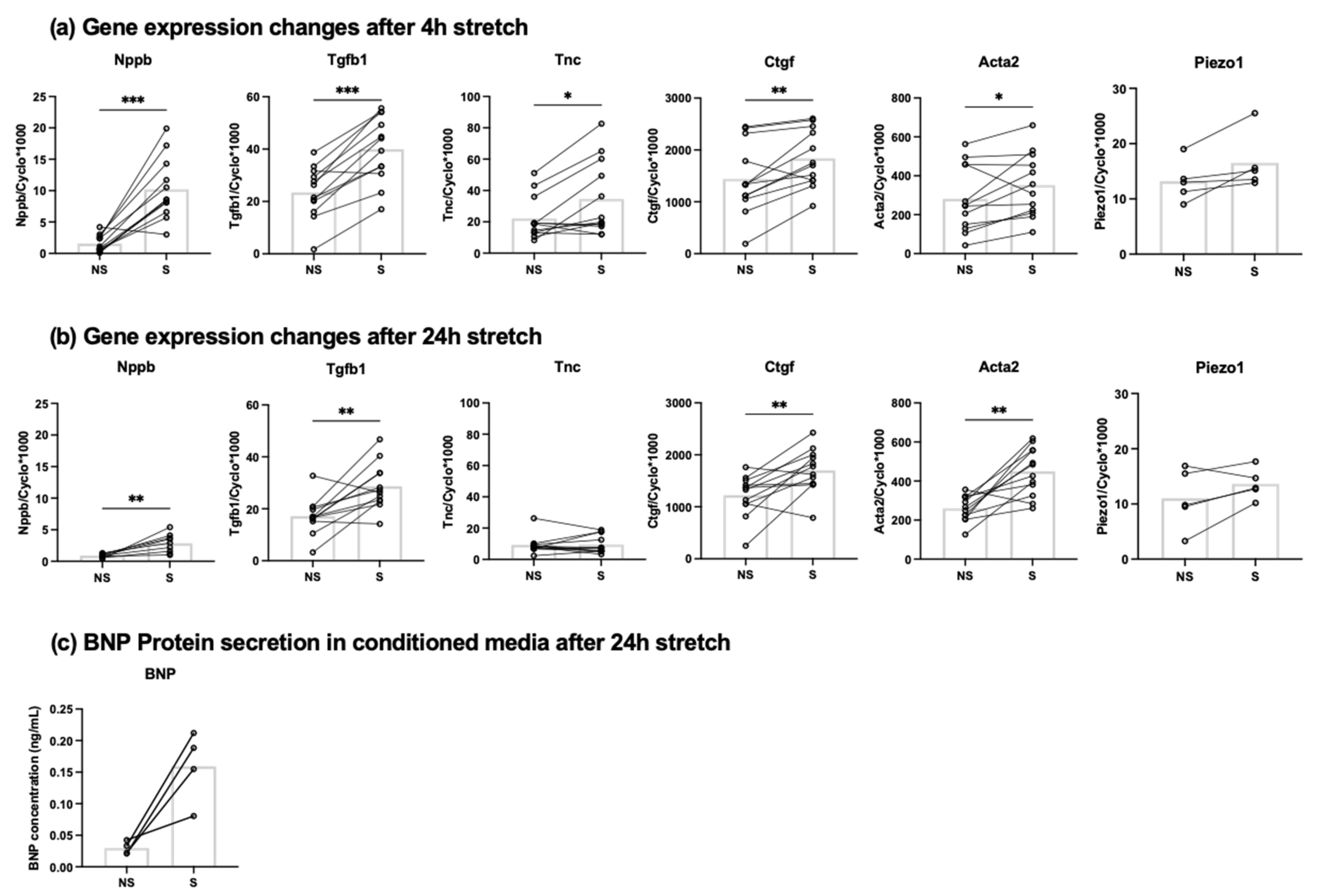 Cells 10 01745 g001 550