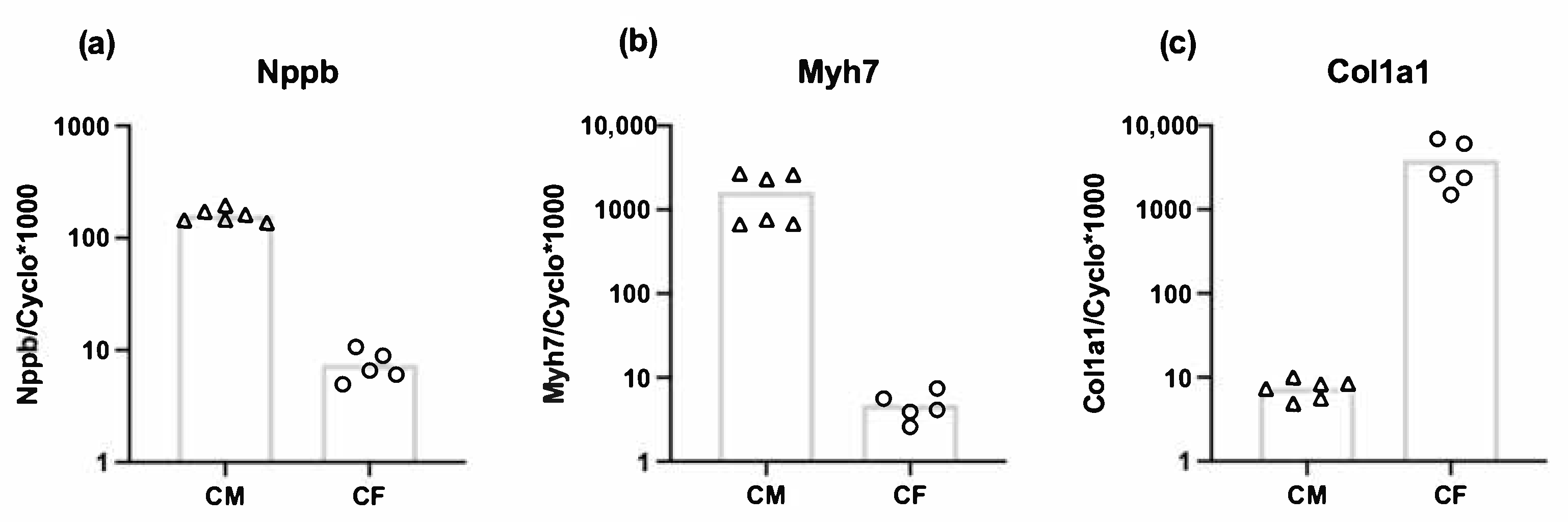 Cells 10 01745 g003 550