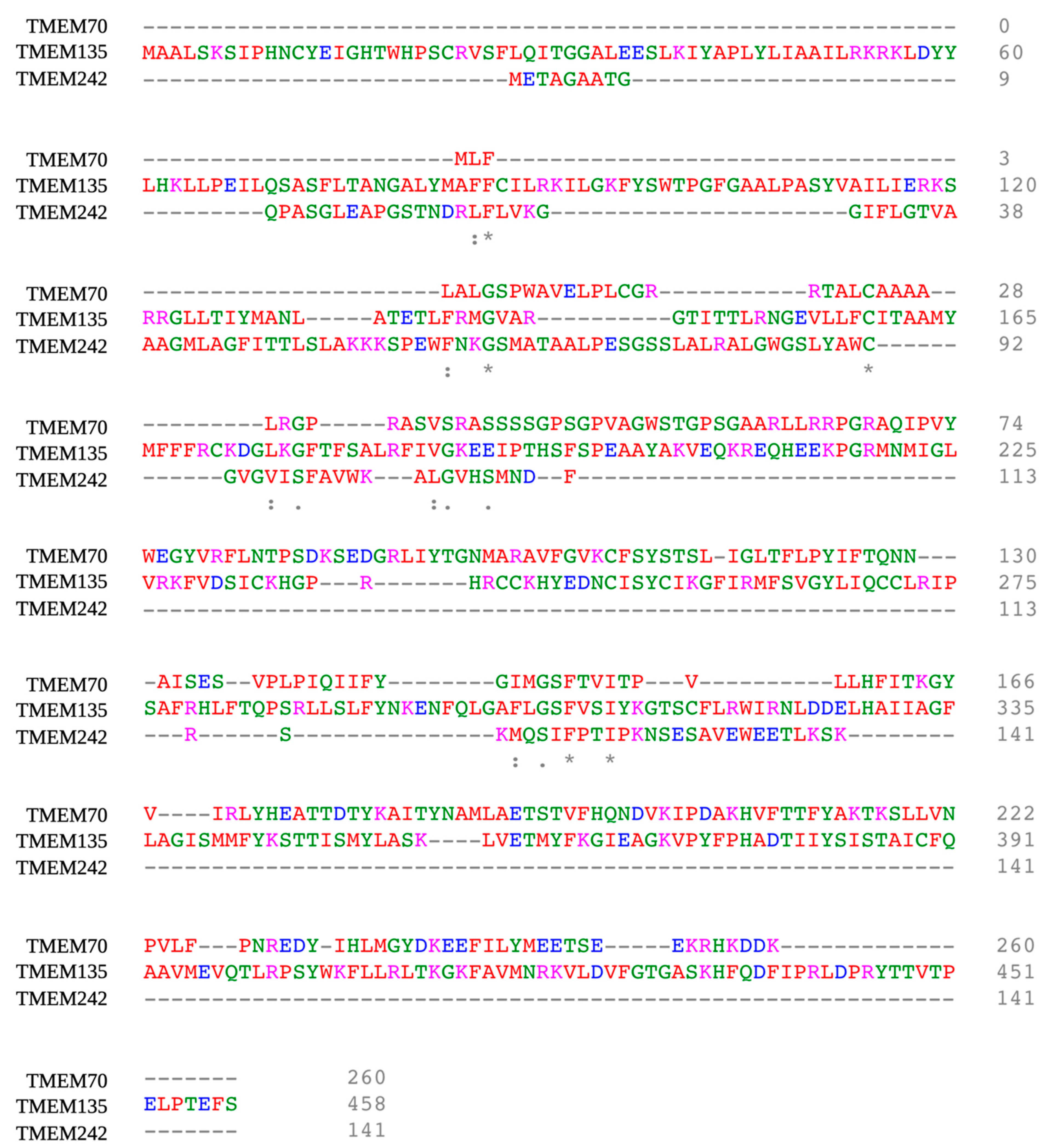 Cells 10 01750 g002