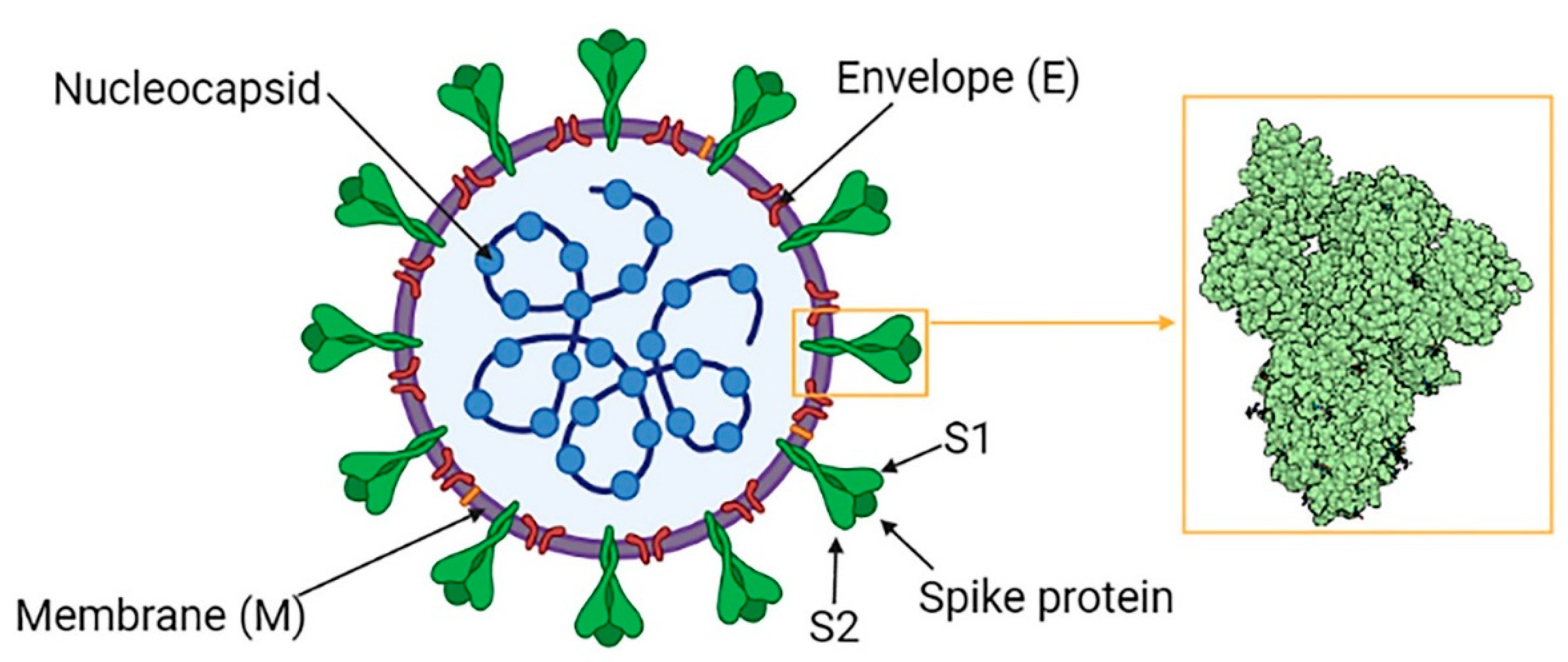 Cells 10 01752 g002 Cells 10 01752 g002