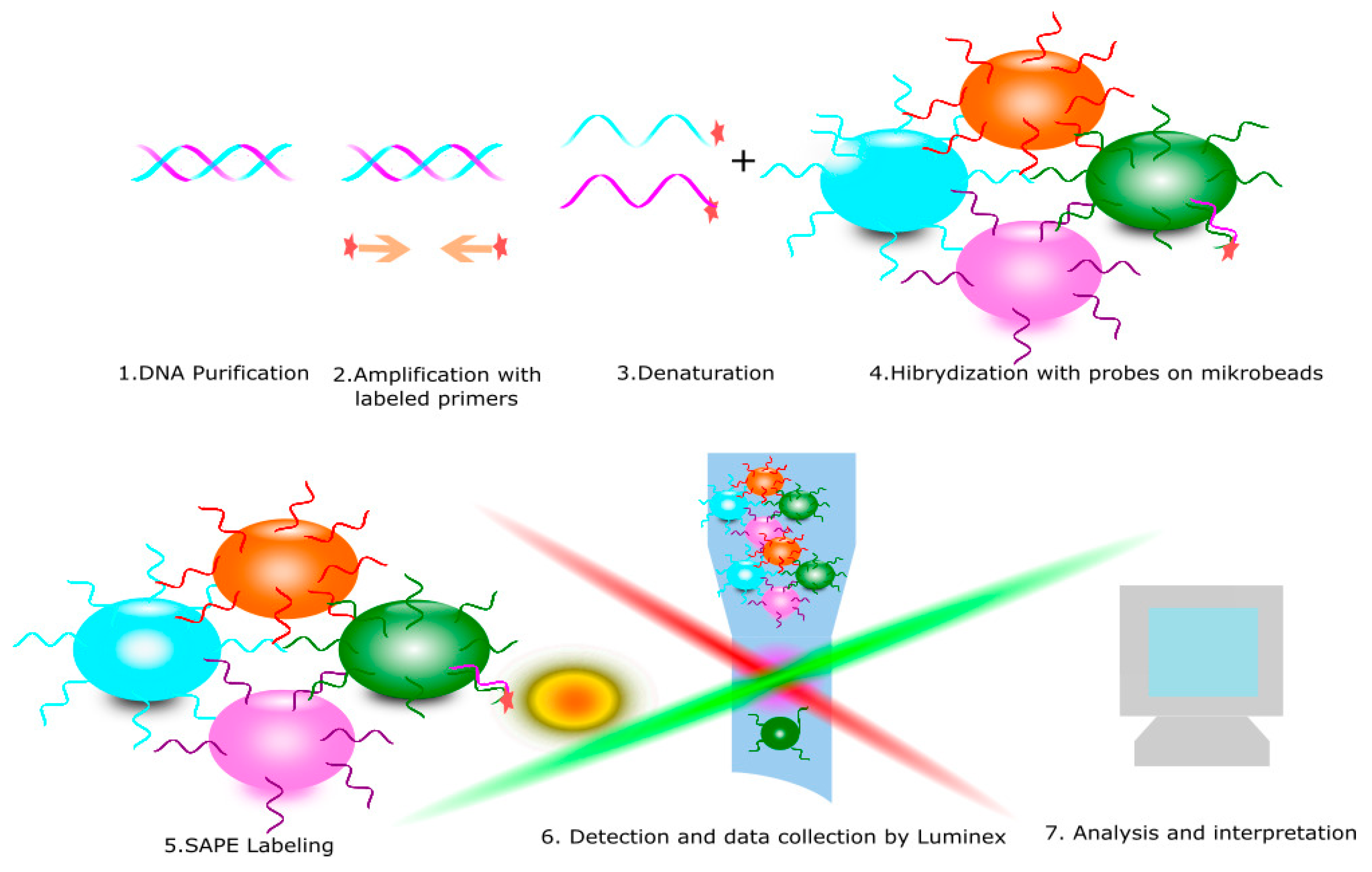 Cells 10 01777 g005 550