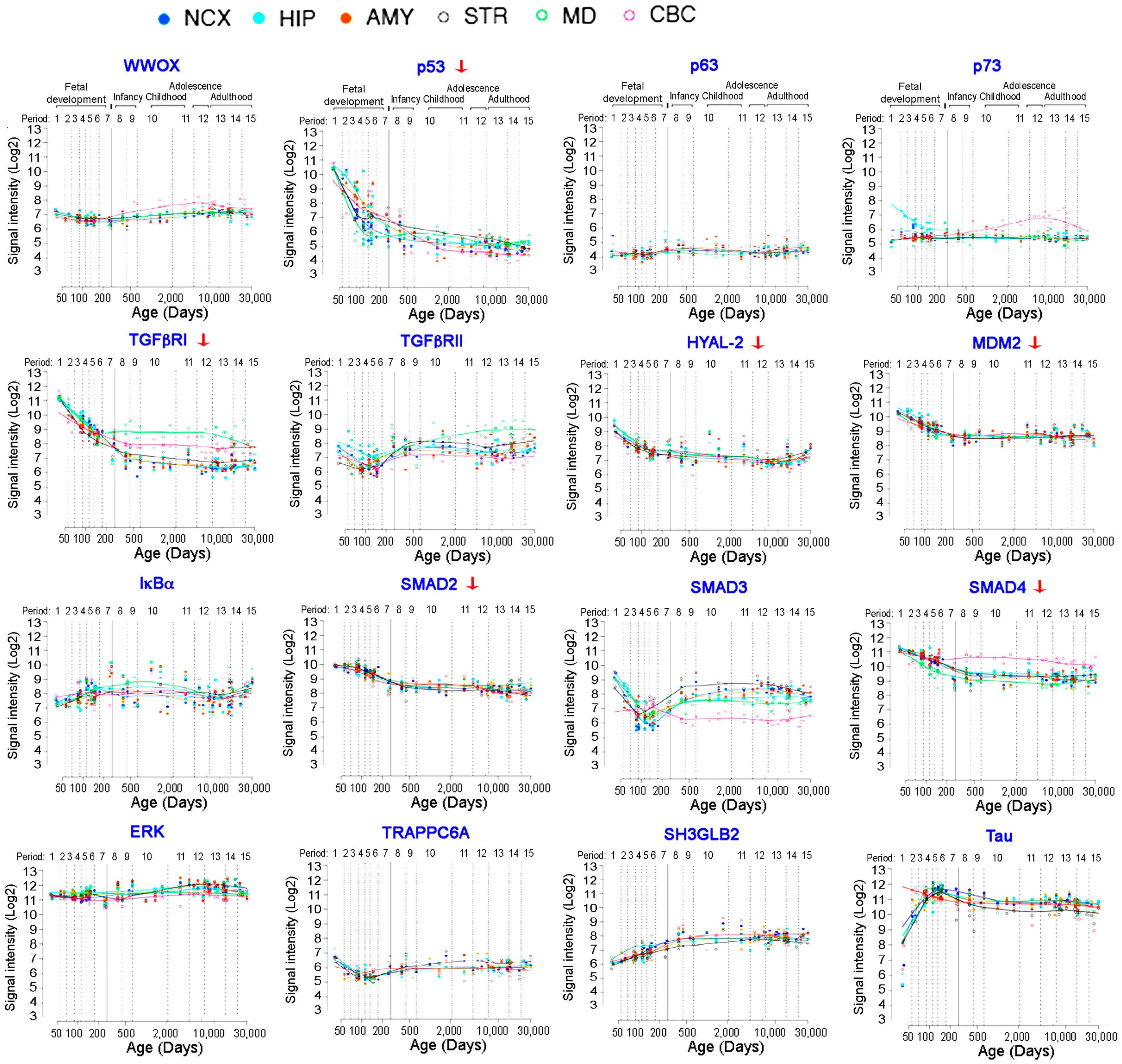 Cells 10 01781 g002 Cells 10 01781 g002