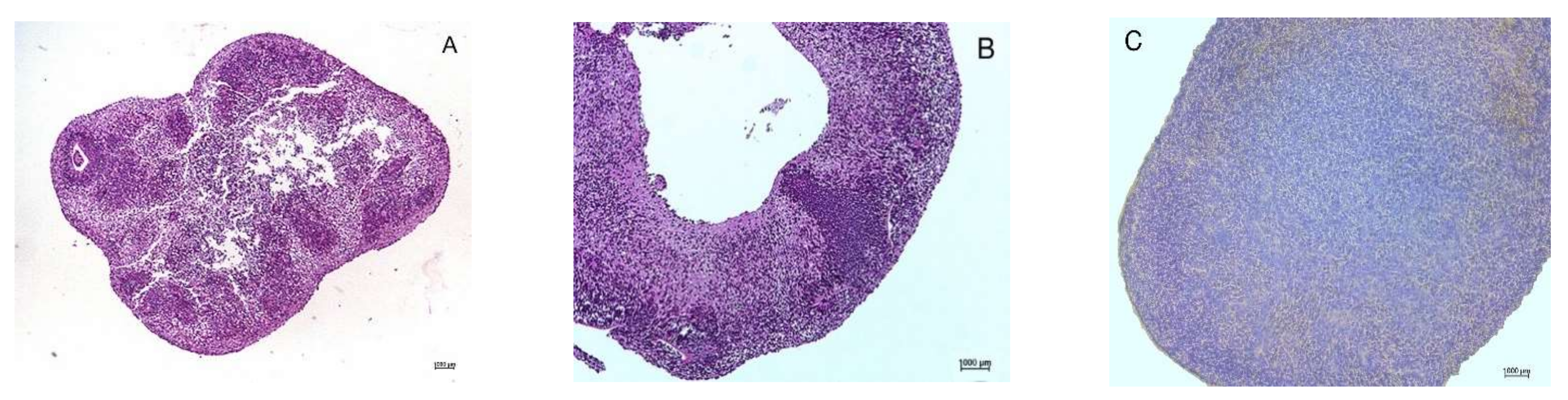 Cells 10 01790 g003 550