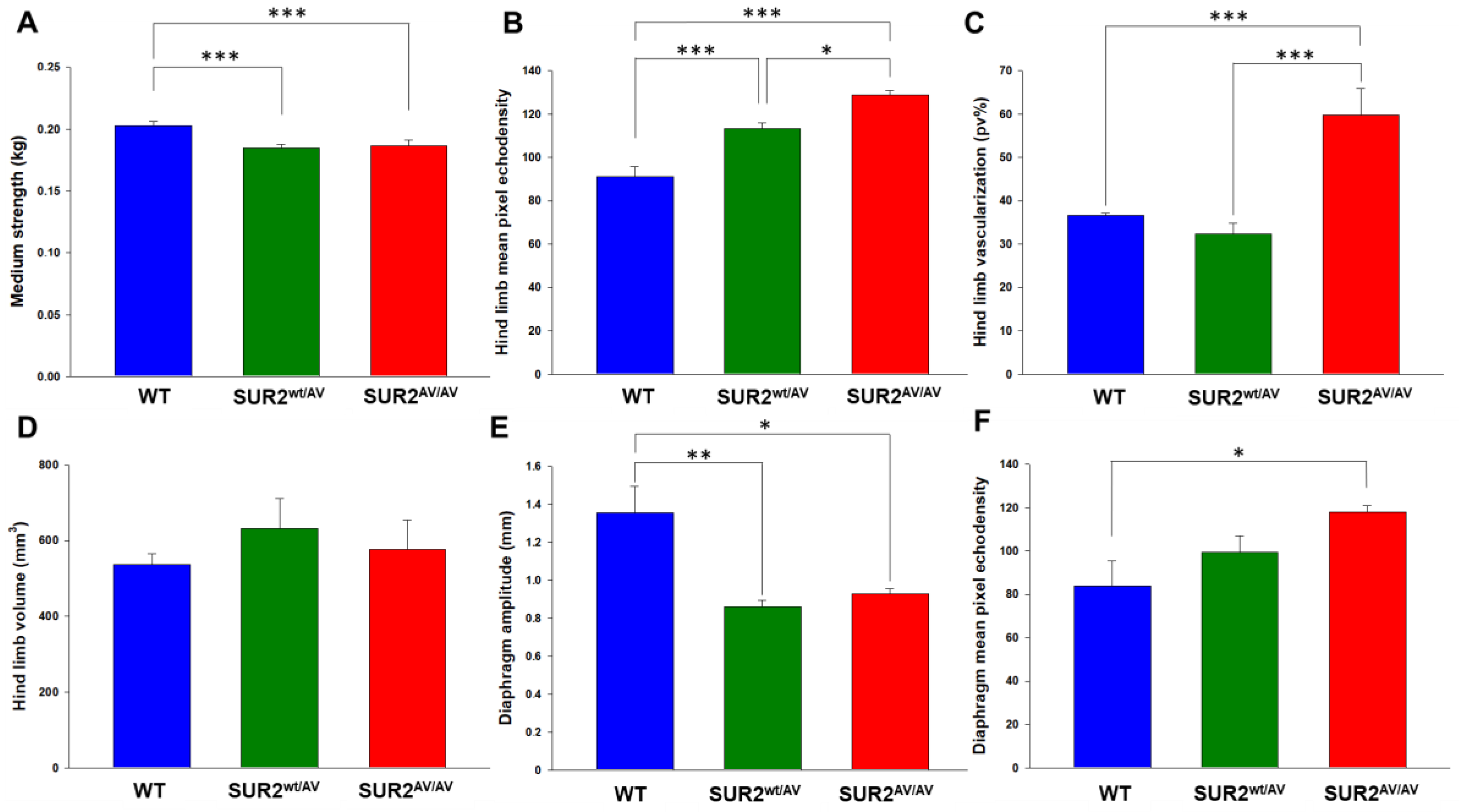 Cells 10 01791 g001 Cells 10 01791 g001