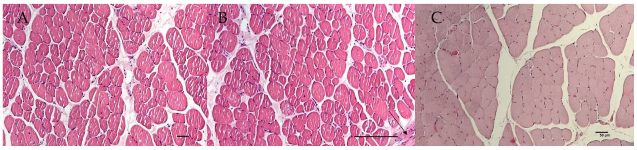 Cells 10 01791 g004 Cells 10 01791 g004