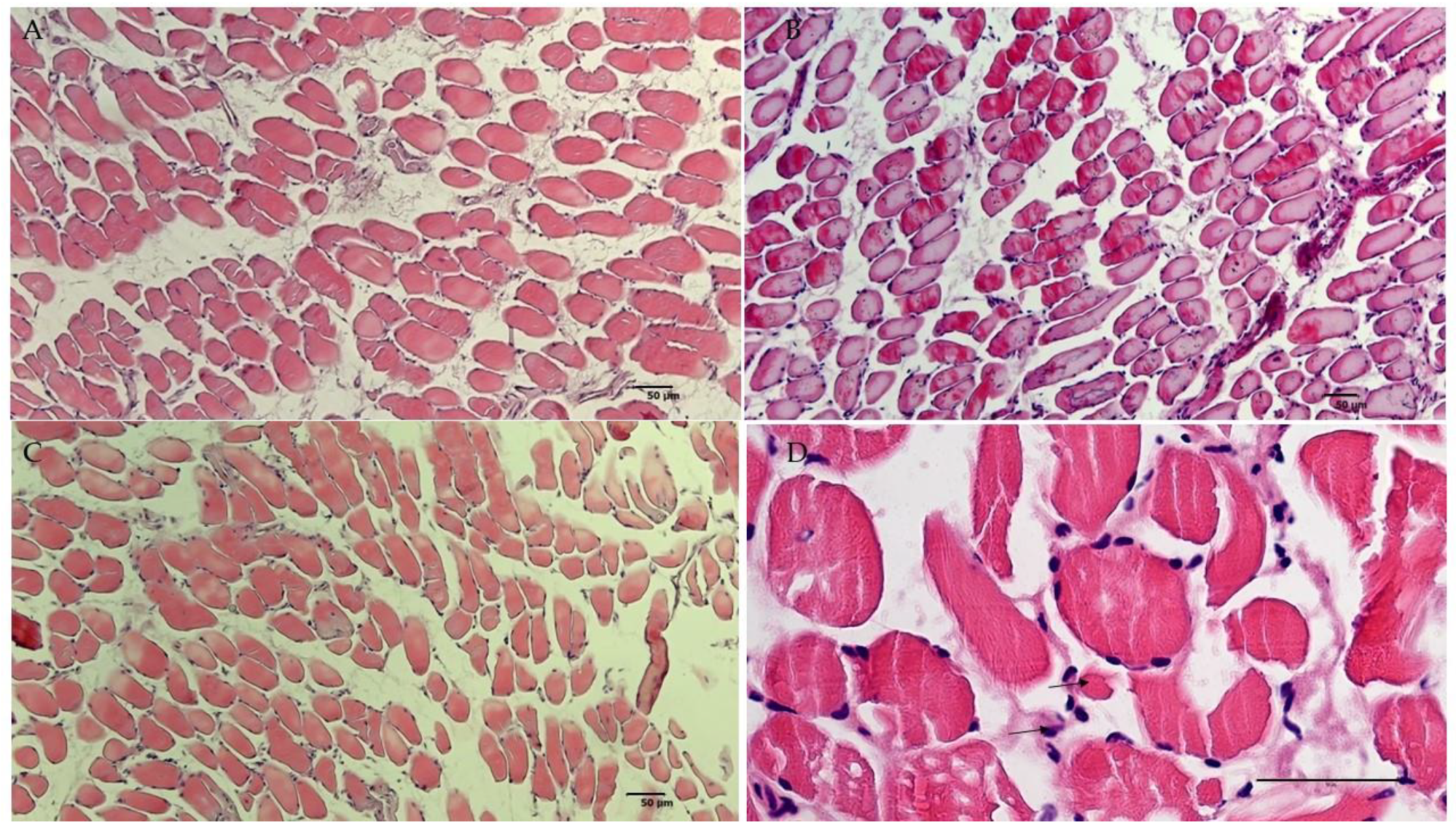 Cells 10 01791 g005 Cells 10 01791 g005