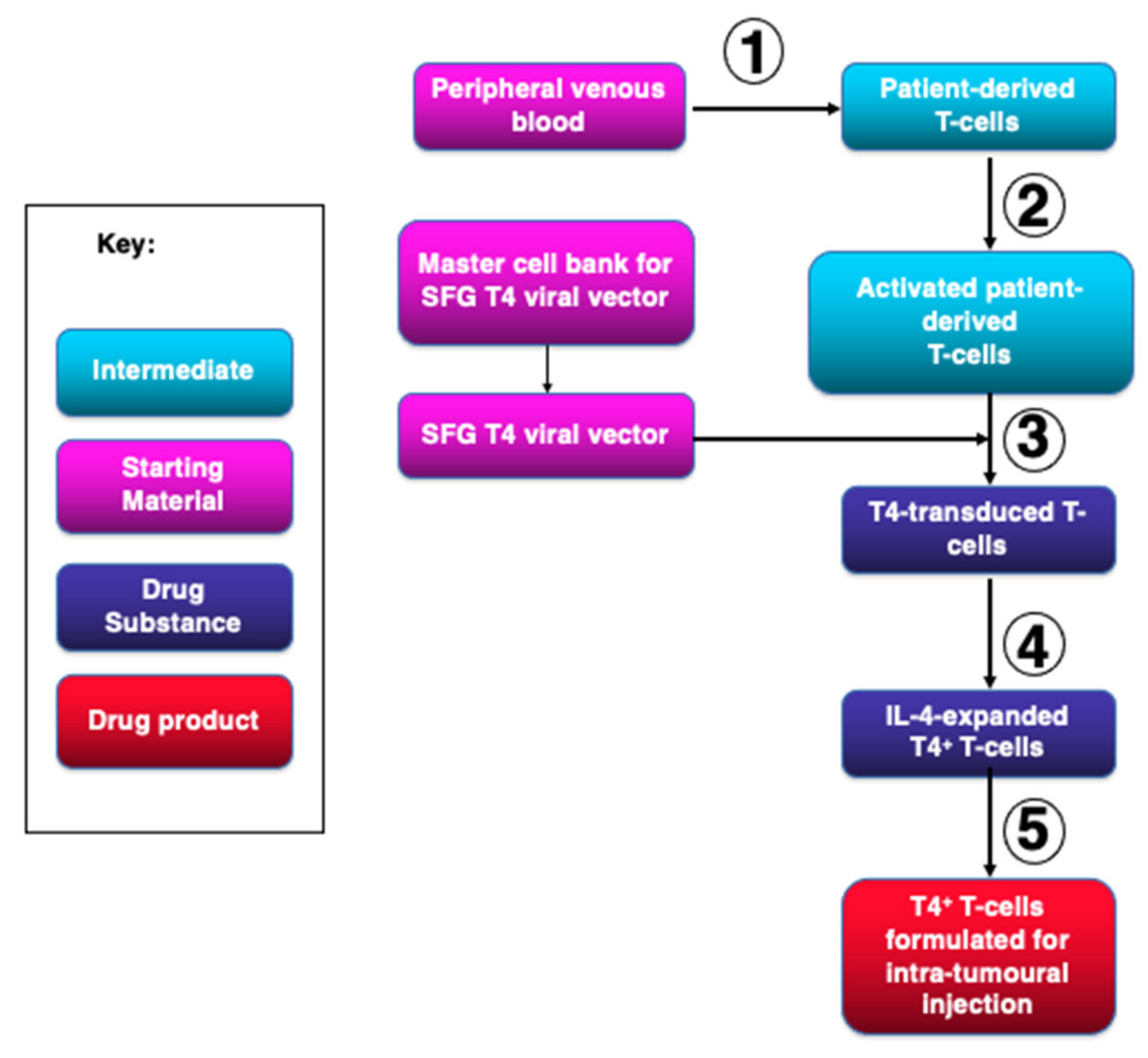 Cells 10 01797 g001 550