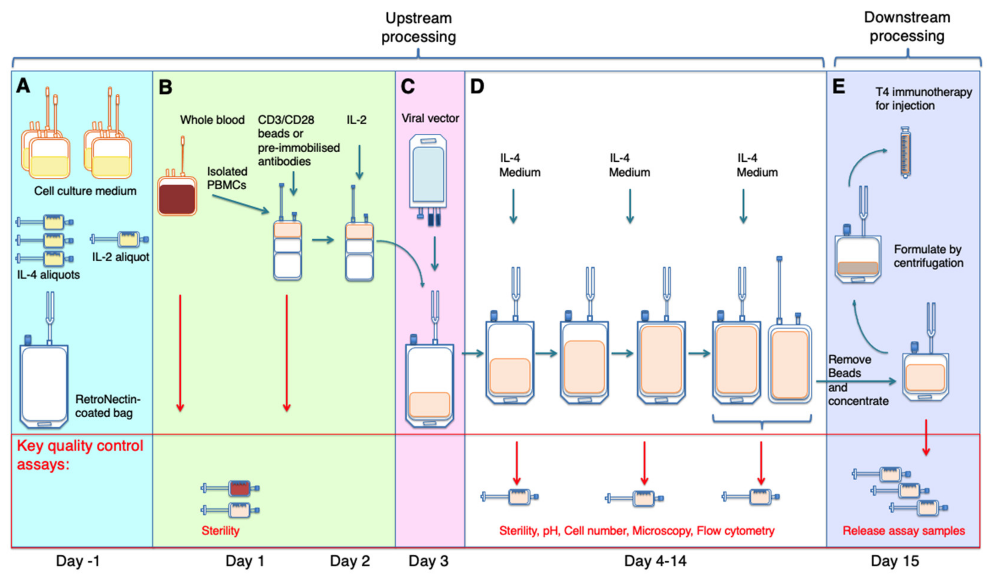 Cells 10 01797 g002 550