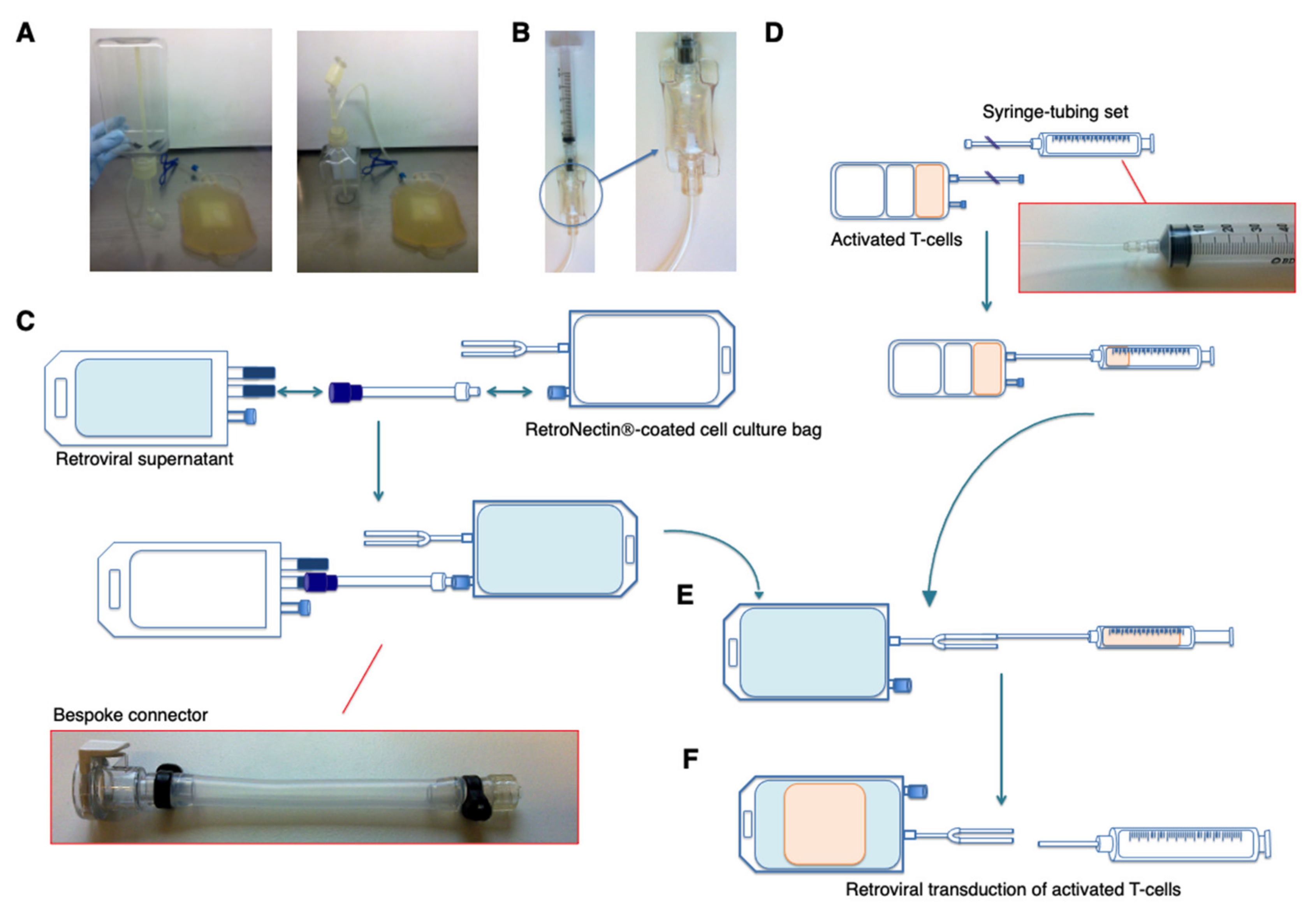 Cells 10 01797 g003 550