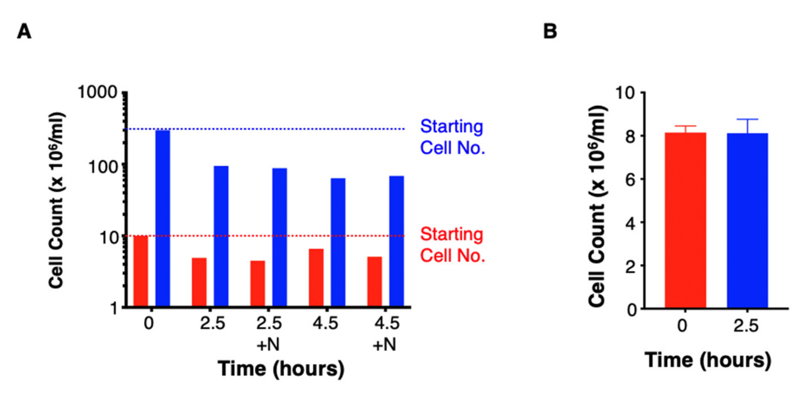 Cells 10 01797 g005 550