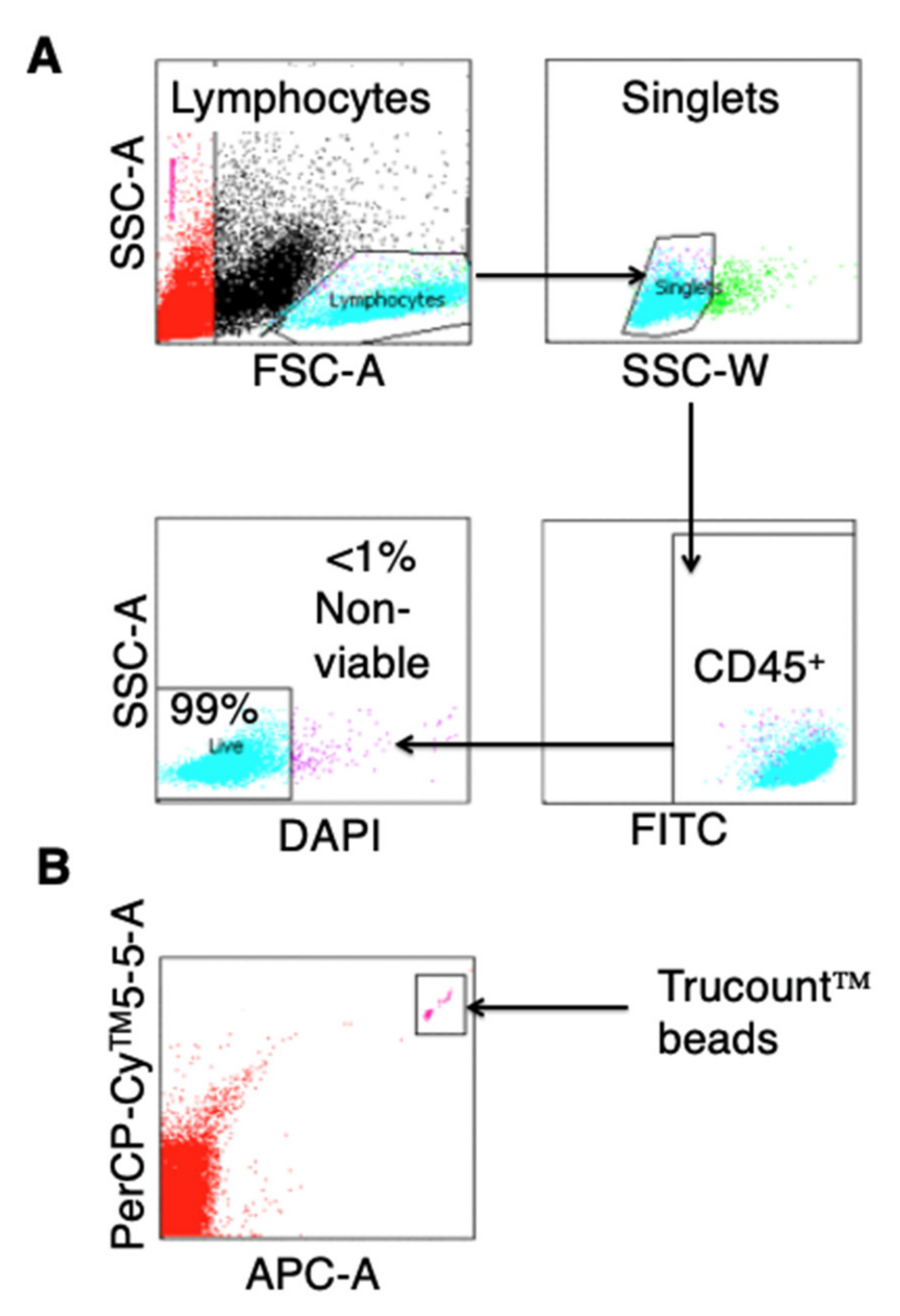 Cells 10 01797 g006 550