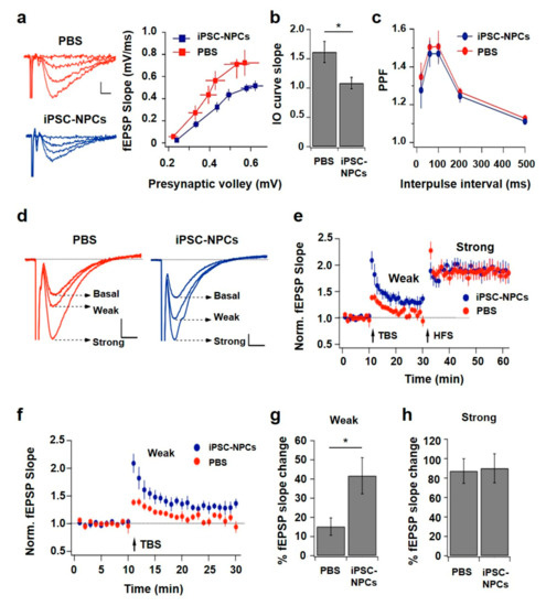 Cells Free Full Text Induced Pluripotent Stem Cell Derived Neural Precursors Improve Memory Synaptic And Pathological Abnormalities In A Mouse Model Of Alzheimer S Disease Html