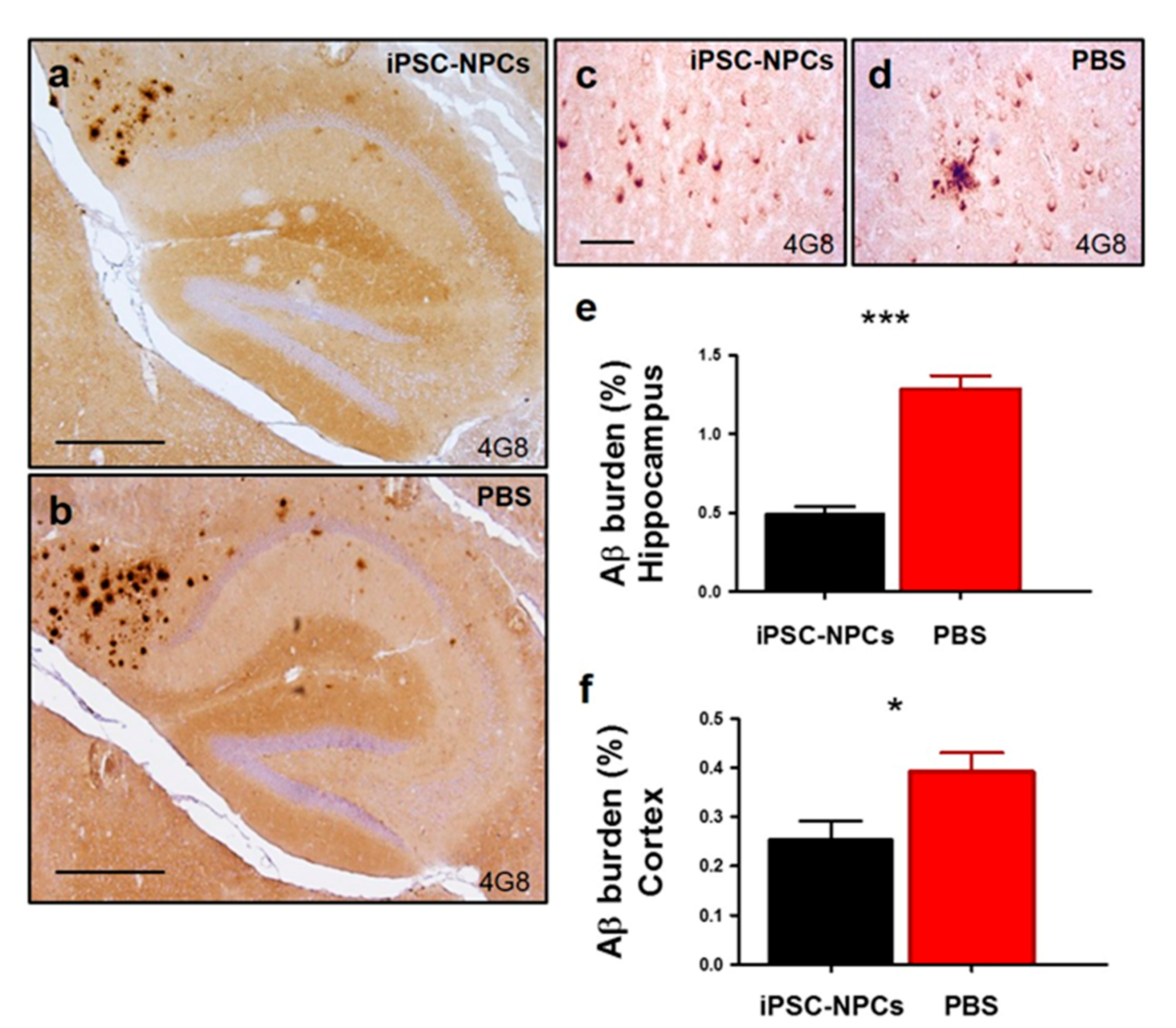 Cells 10 01802 g004 550