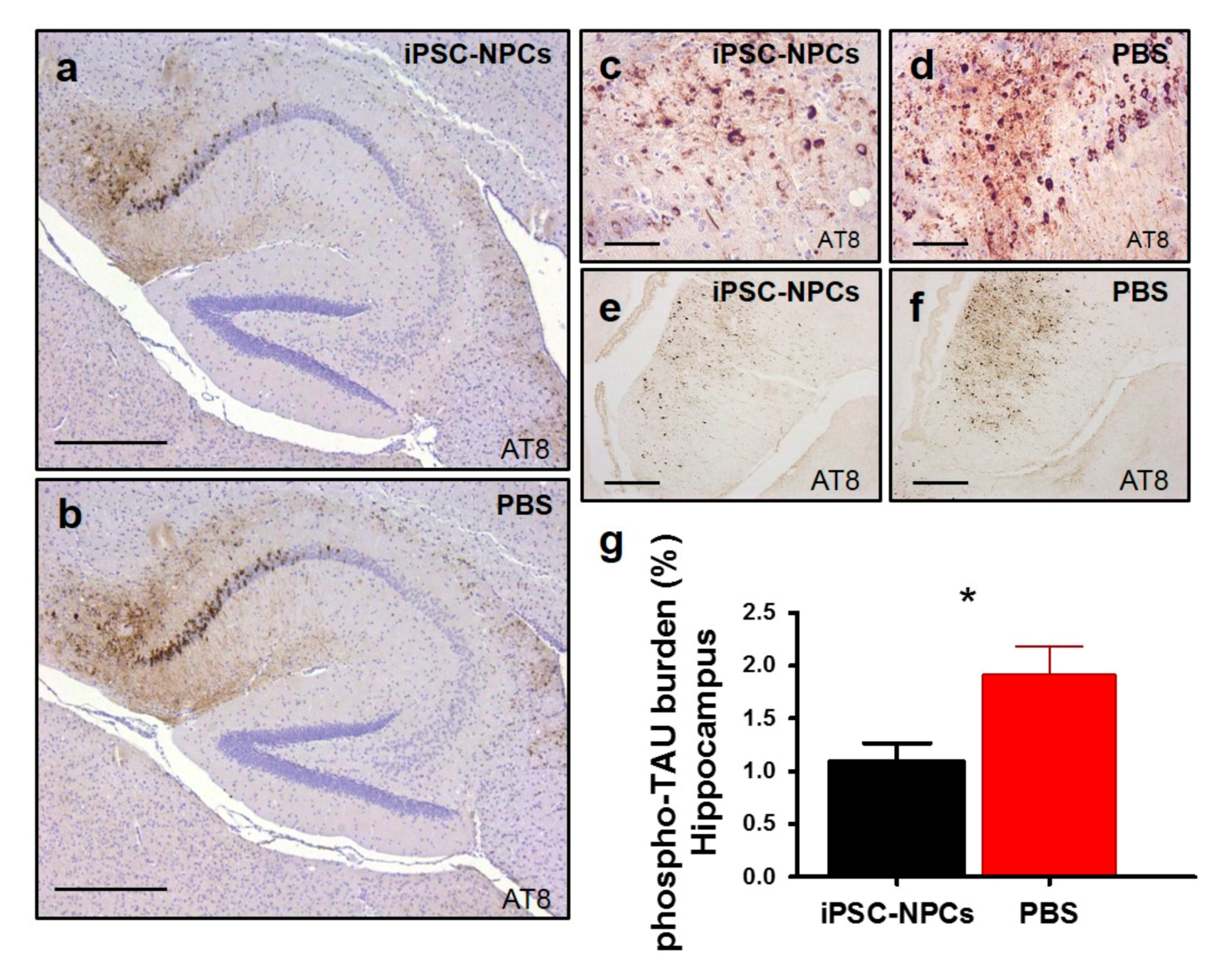 Cells 10 01802 g006 550