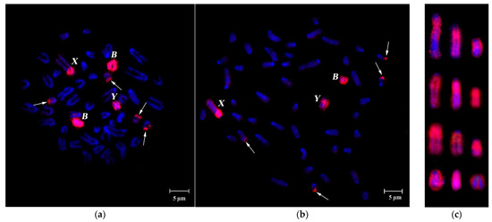 Cells | July 2021 - Browse Articles