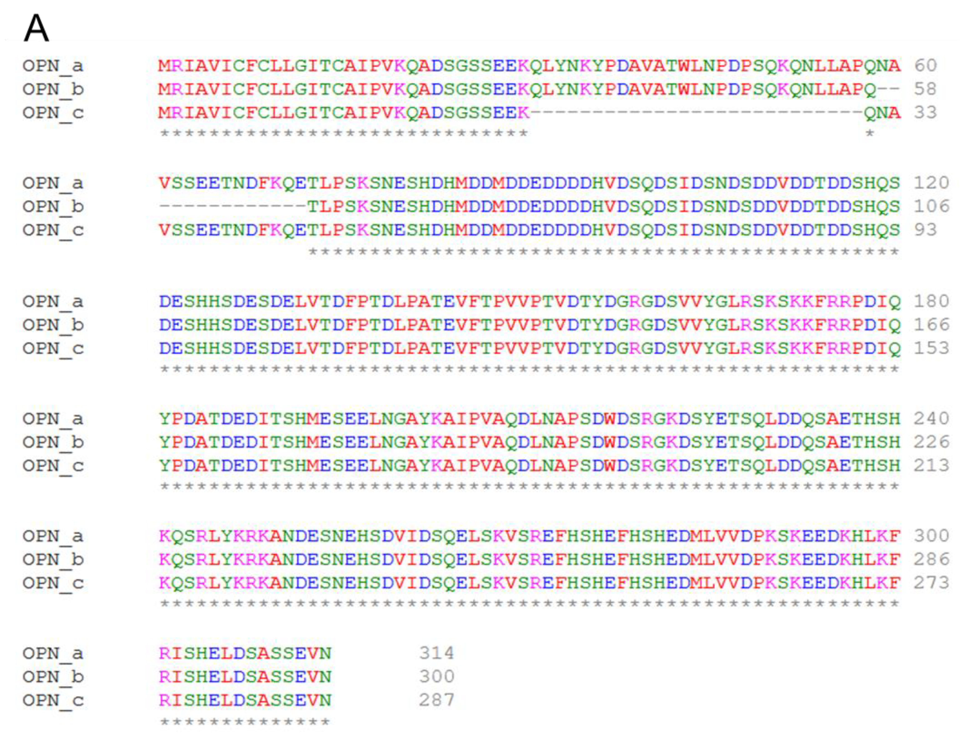 Cells 10 01820 g005a