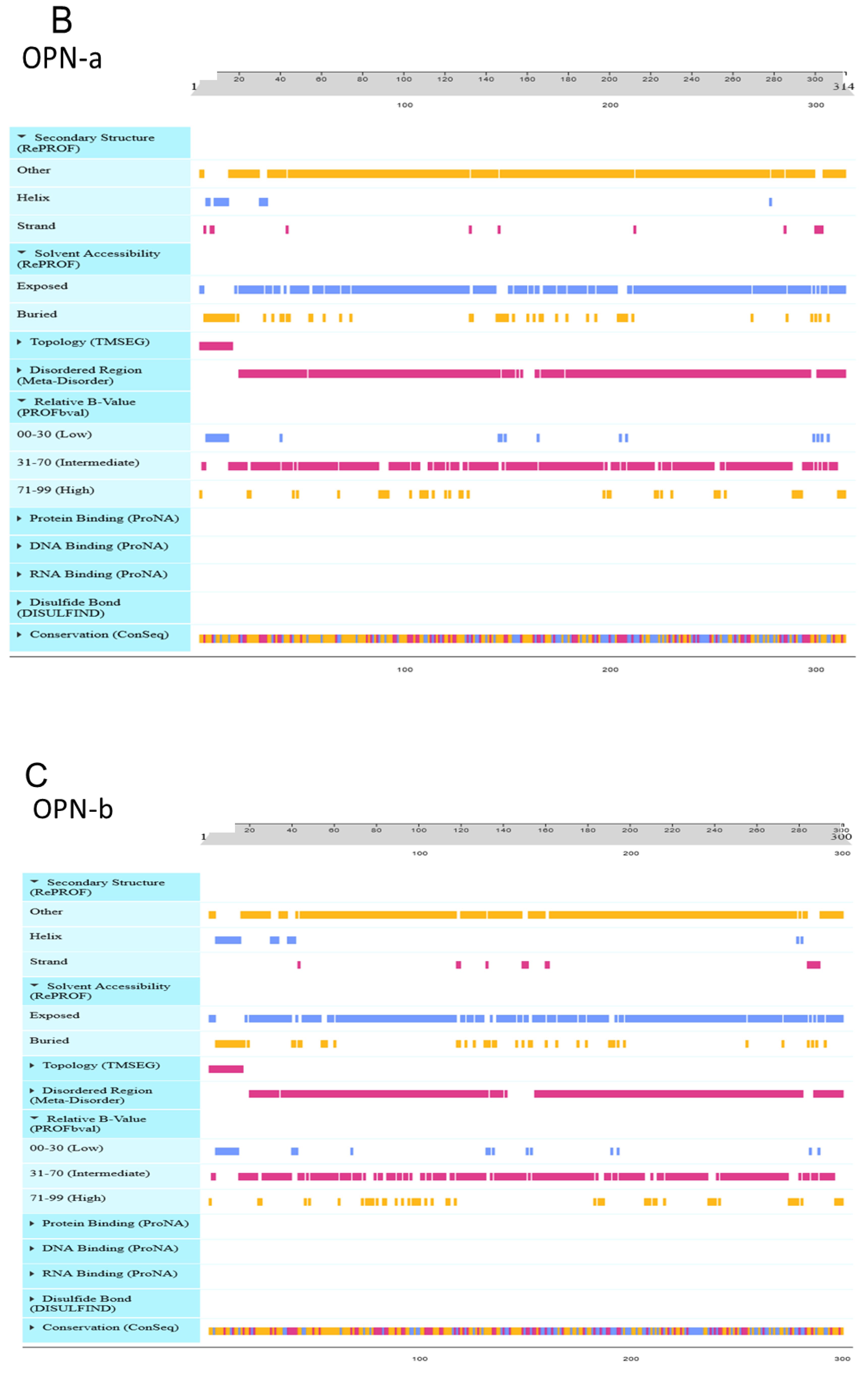 Cells 10 01820 g005b