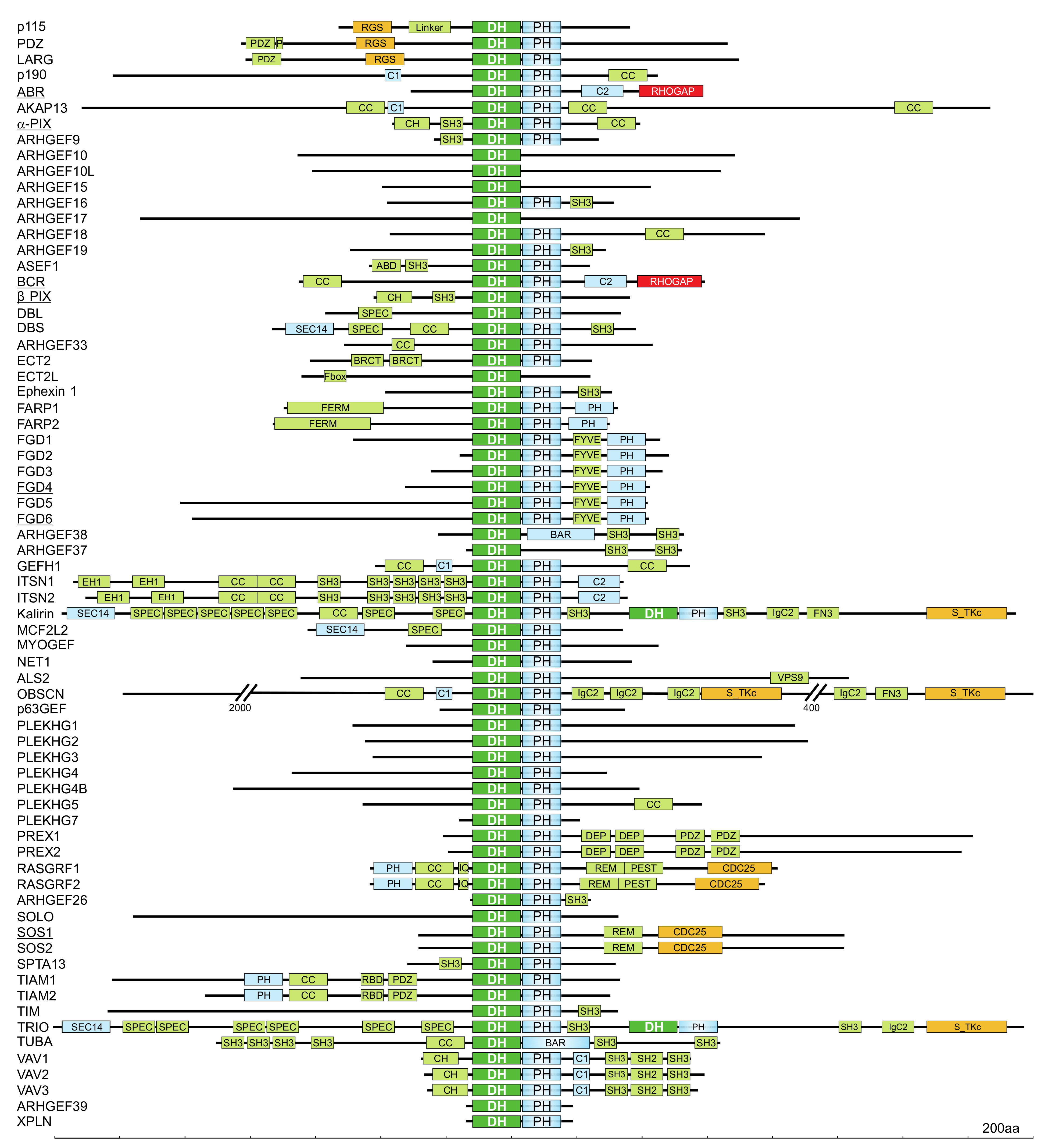 Cells 10 01831 g003 Cells 10 01831 g003