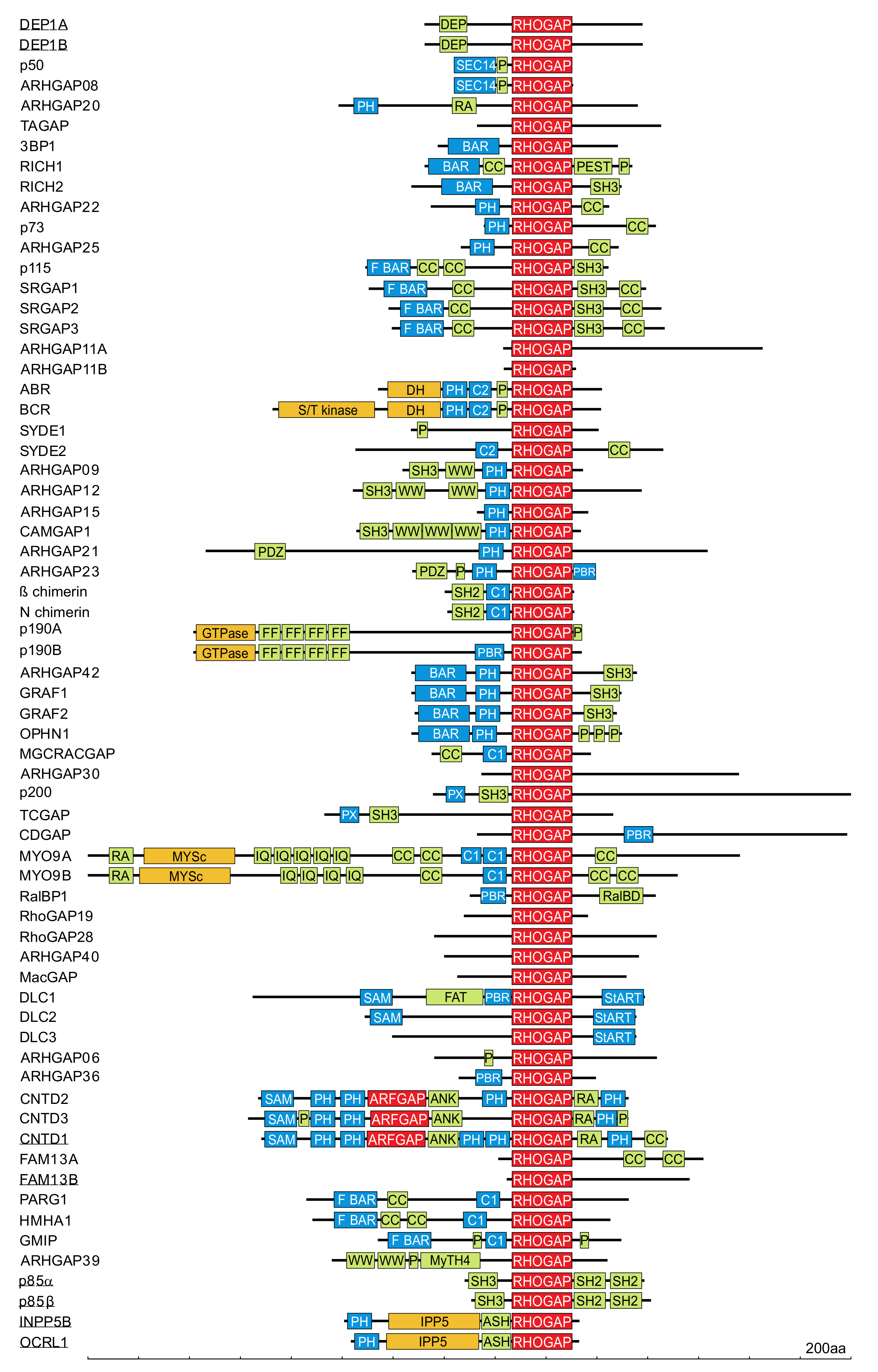 Cells 10 01831 g004 Cells 10 01831 g004