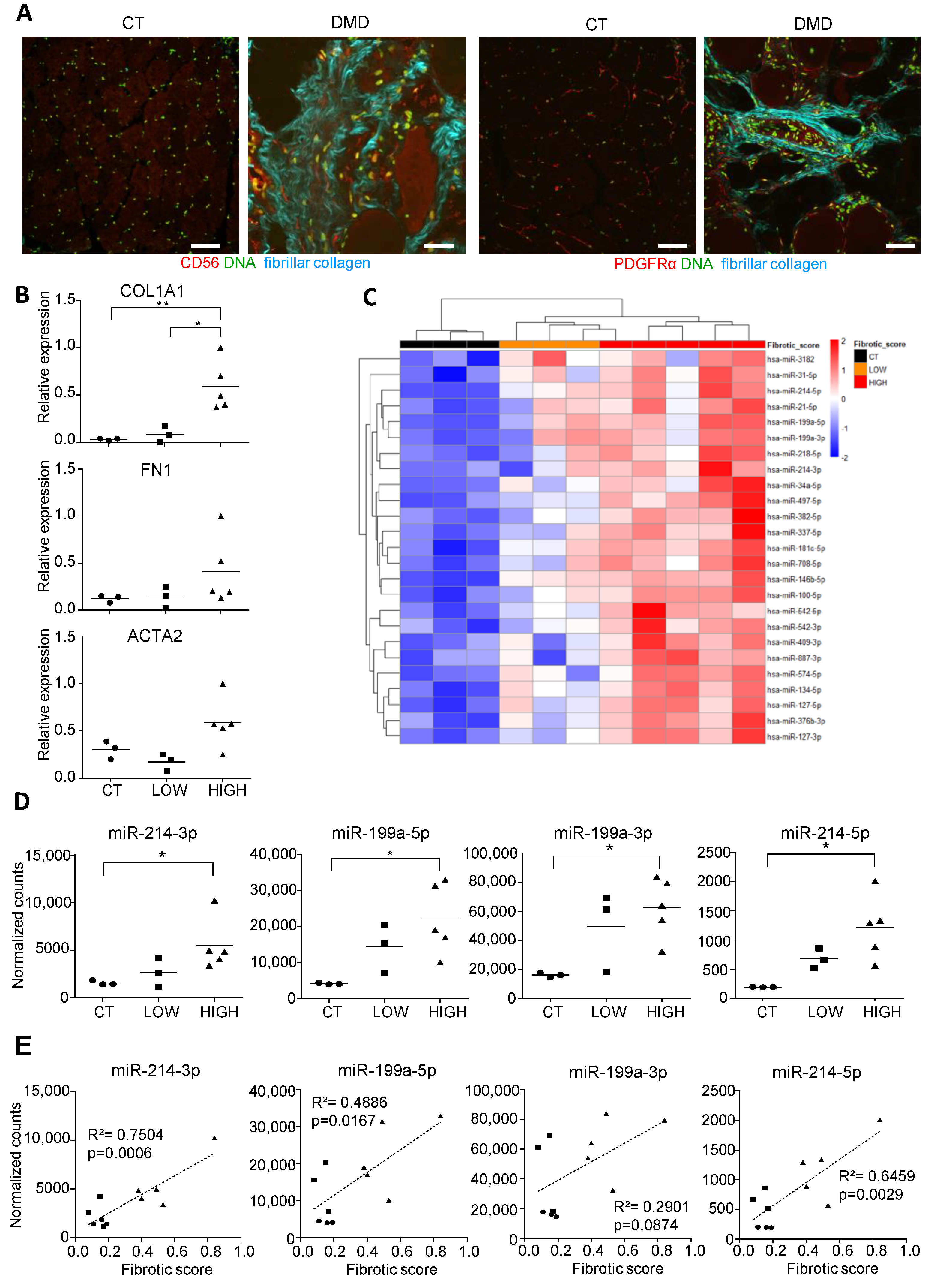 Cells 10 01832 g001 Cells 10 01832 g001
