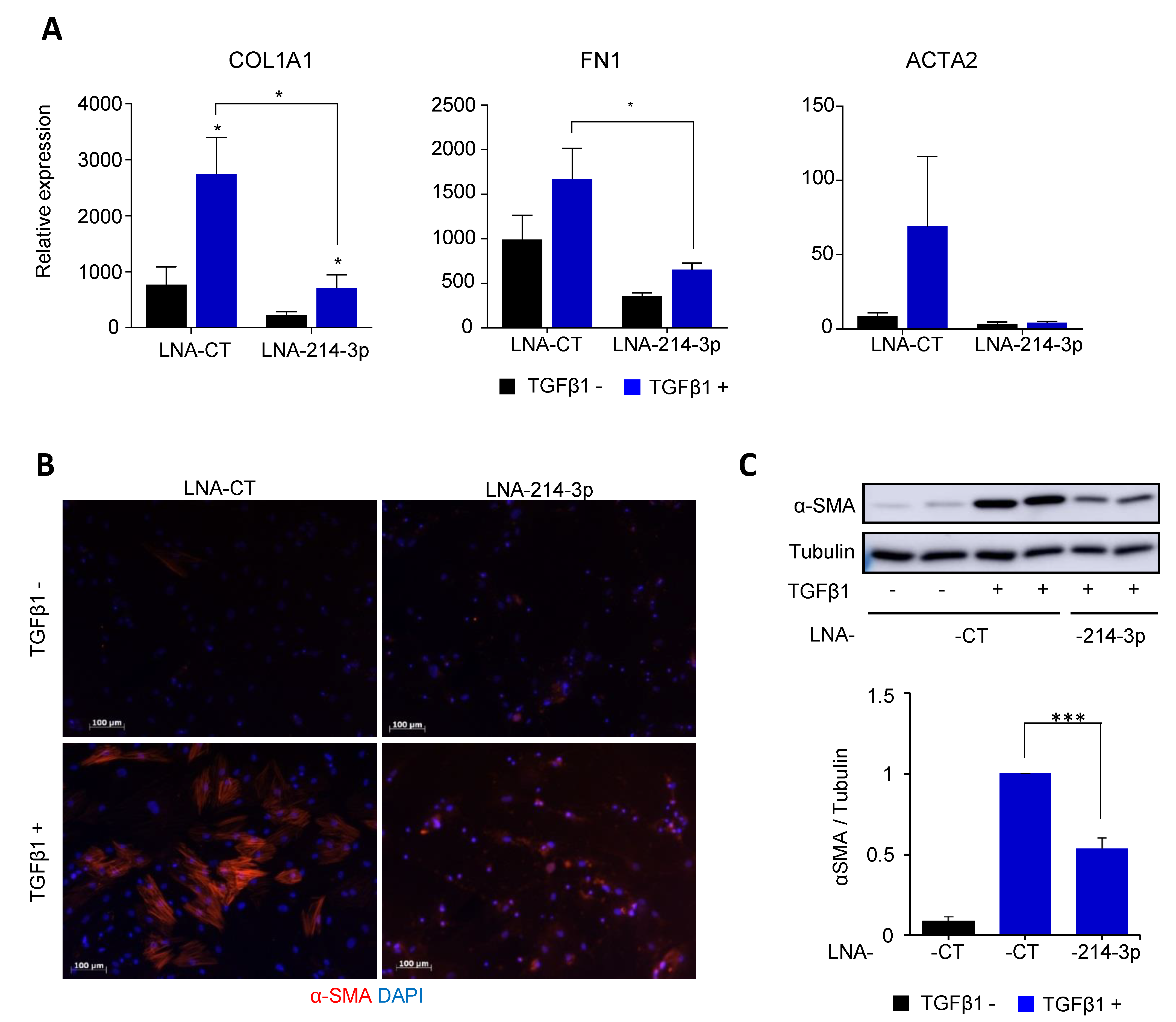 Cells 10 01832 g003 Cells 10 01832 g003