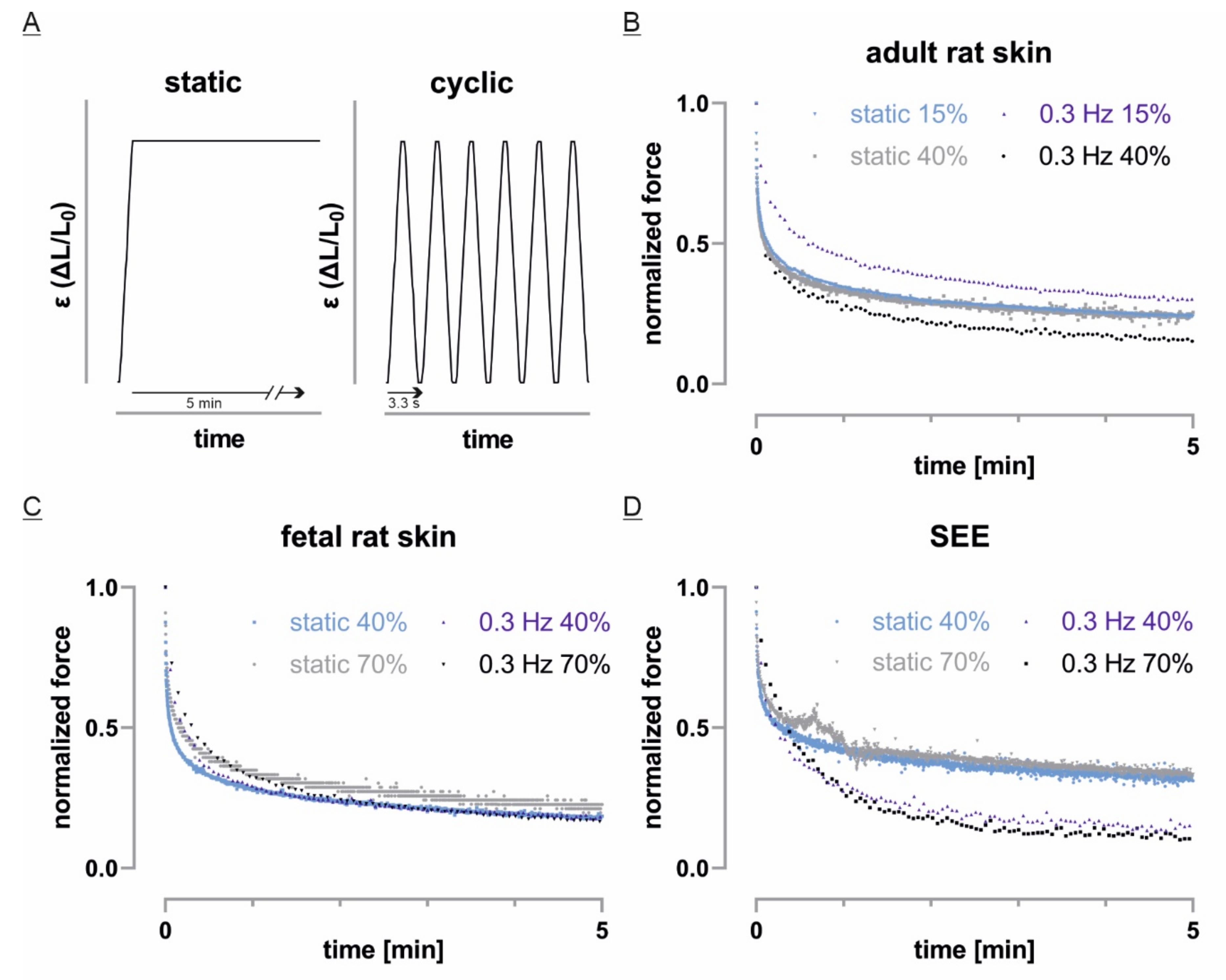 Cells 10 01834 g007 Cells 10 01834 g007