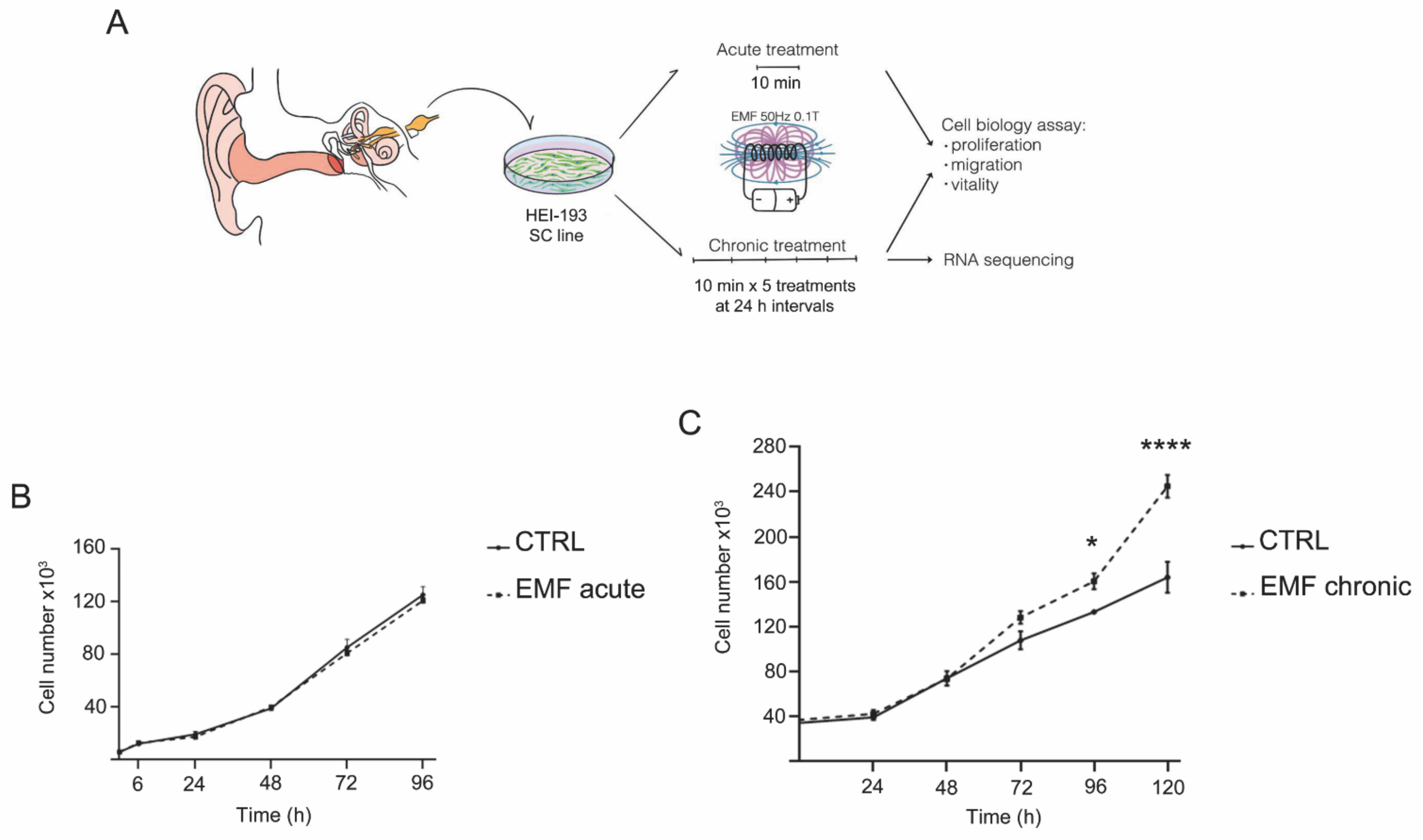 Cells 10 01840 g002 550