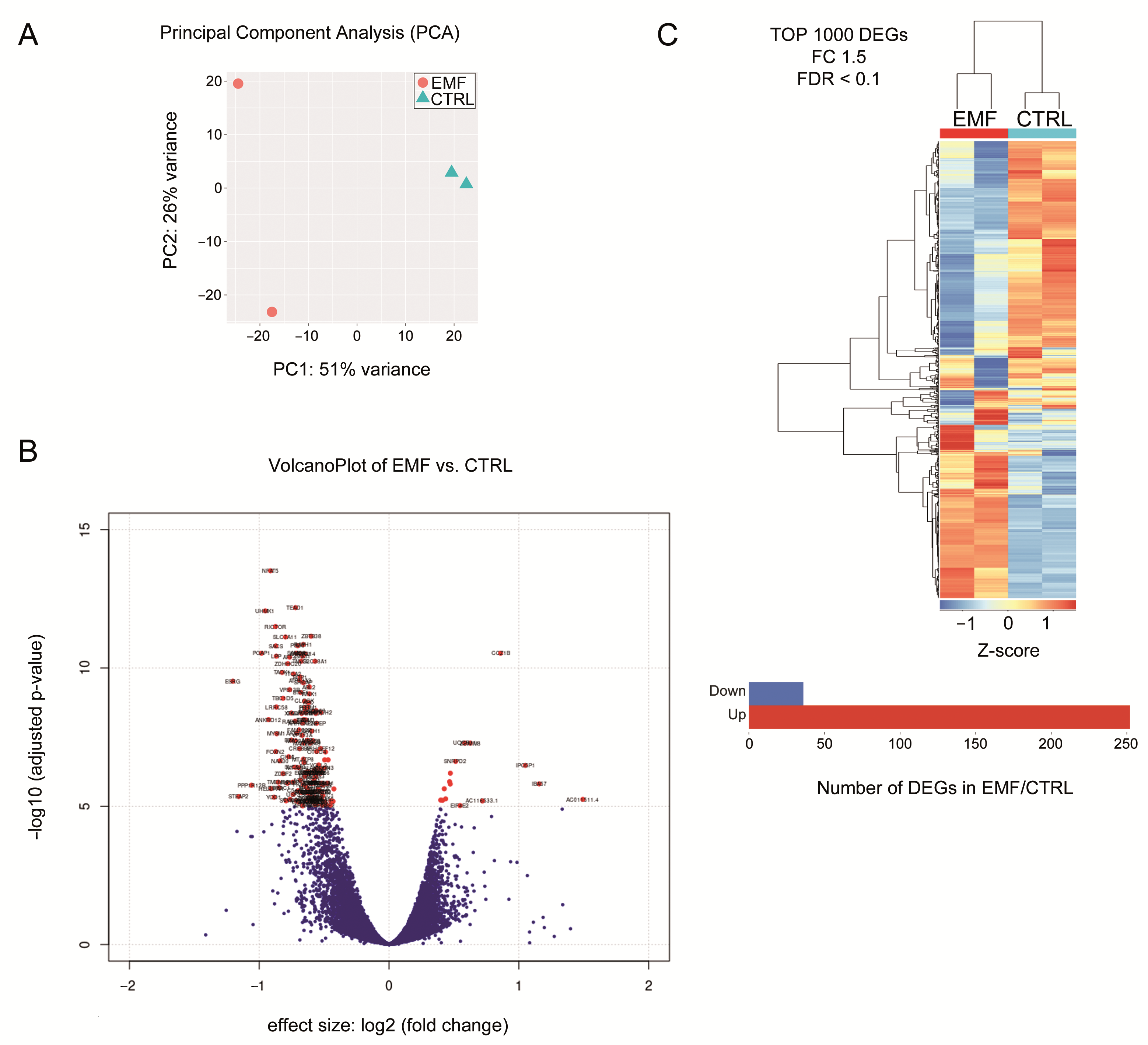 Cells 10 01840 g004 550