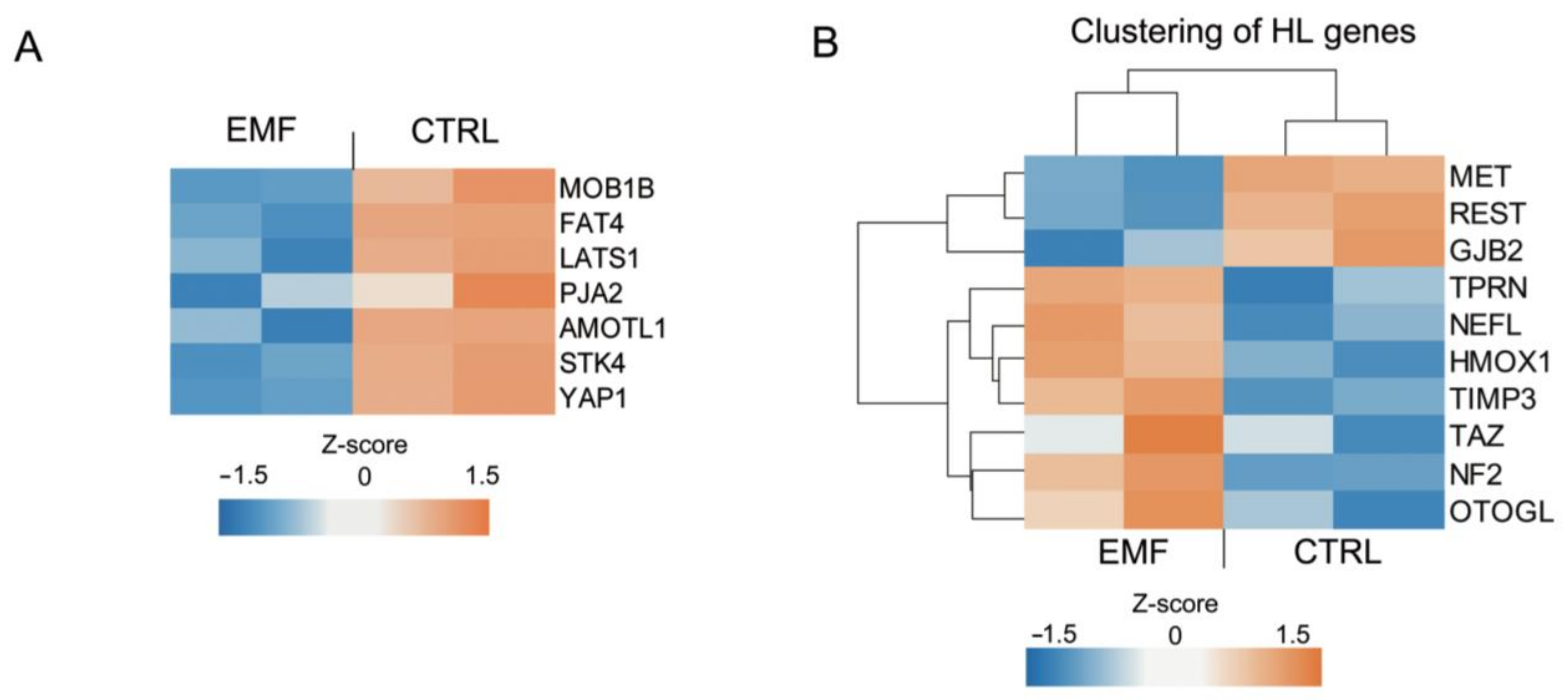Cells 10 01840 g005 550