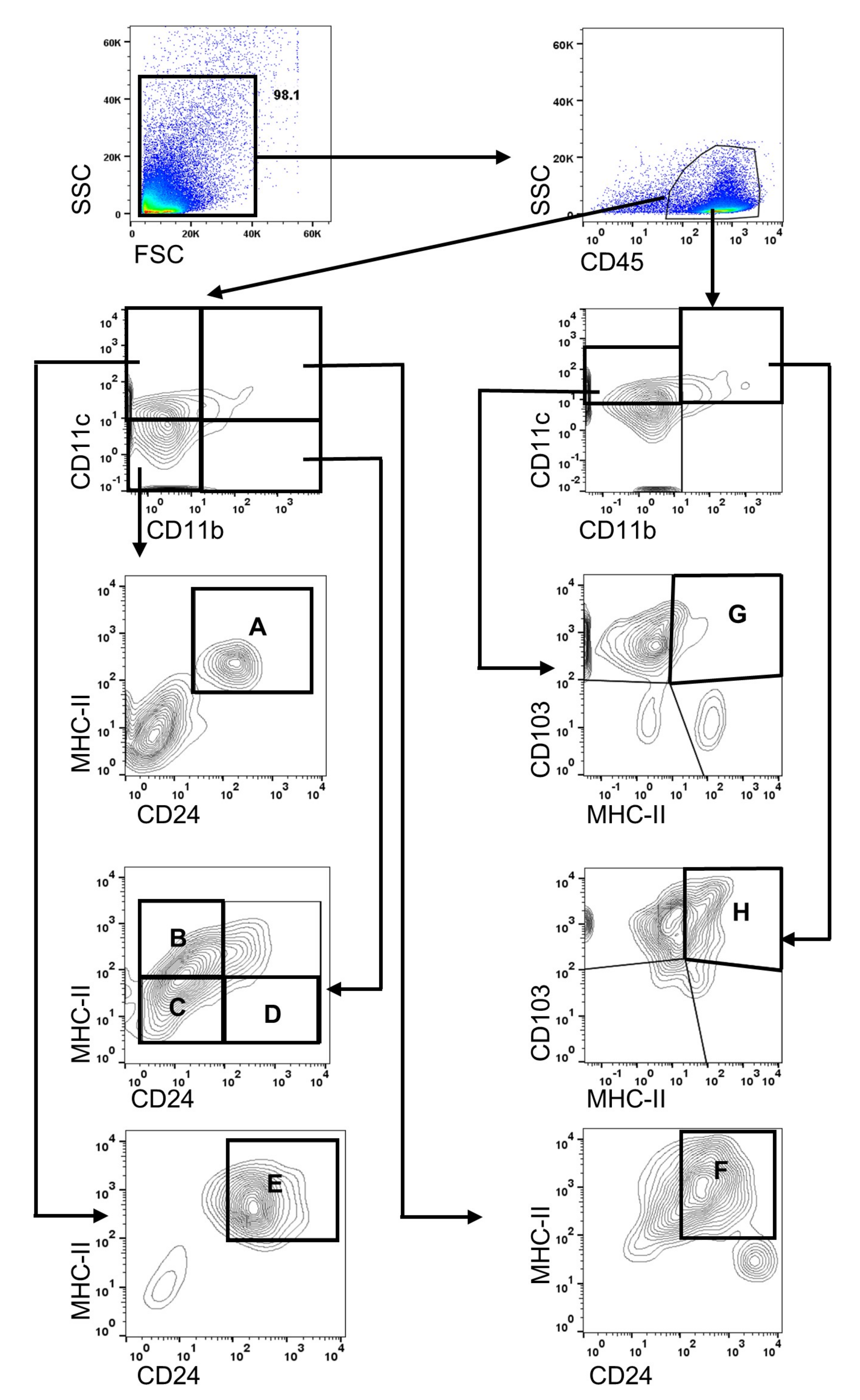 Cells 10 01857 g001 Cells 10 01857 g001