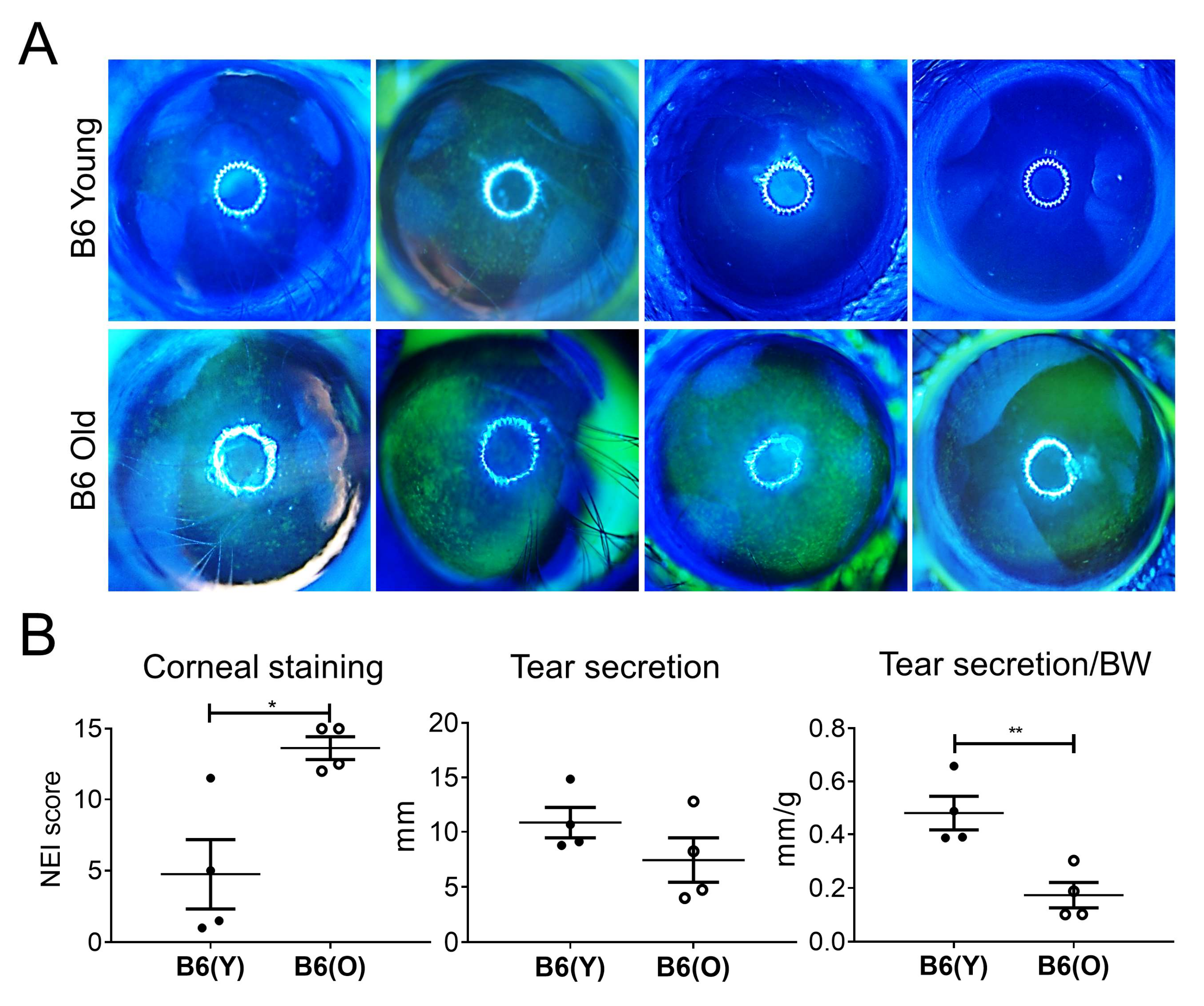 Cells 10 01857 g002a Cells 10 01857 g002a
