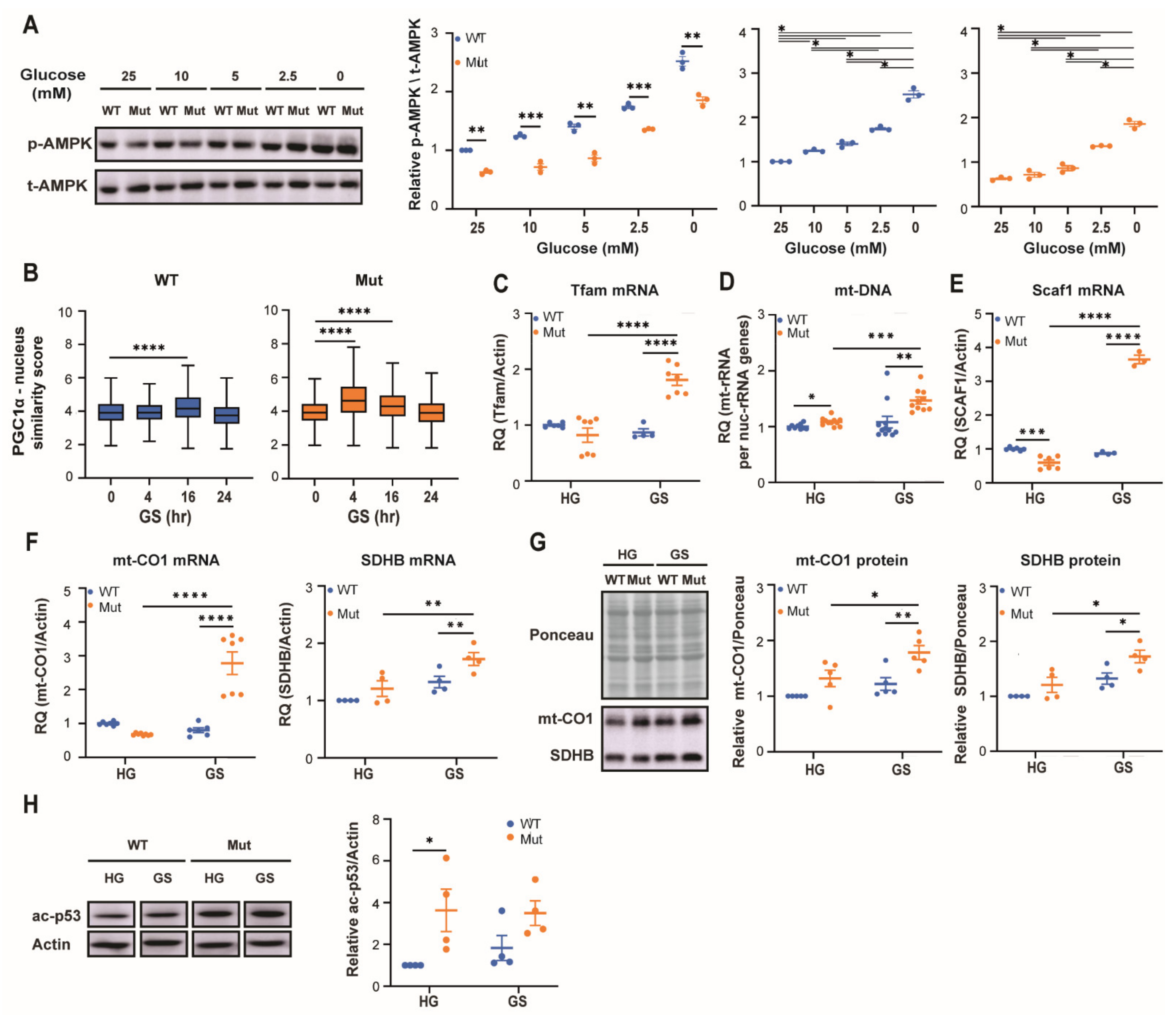 Cells 10 01858 g002 Cells 10 01858 g002
