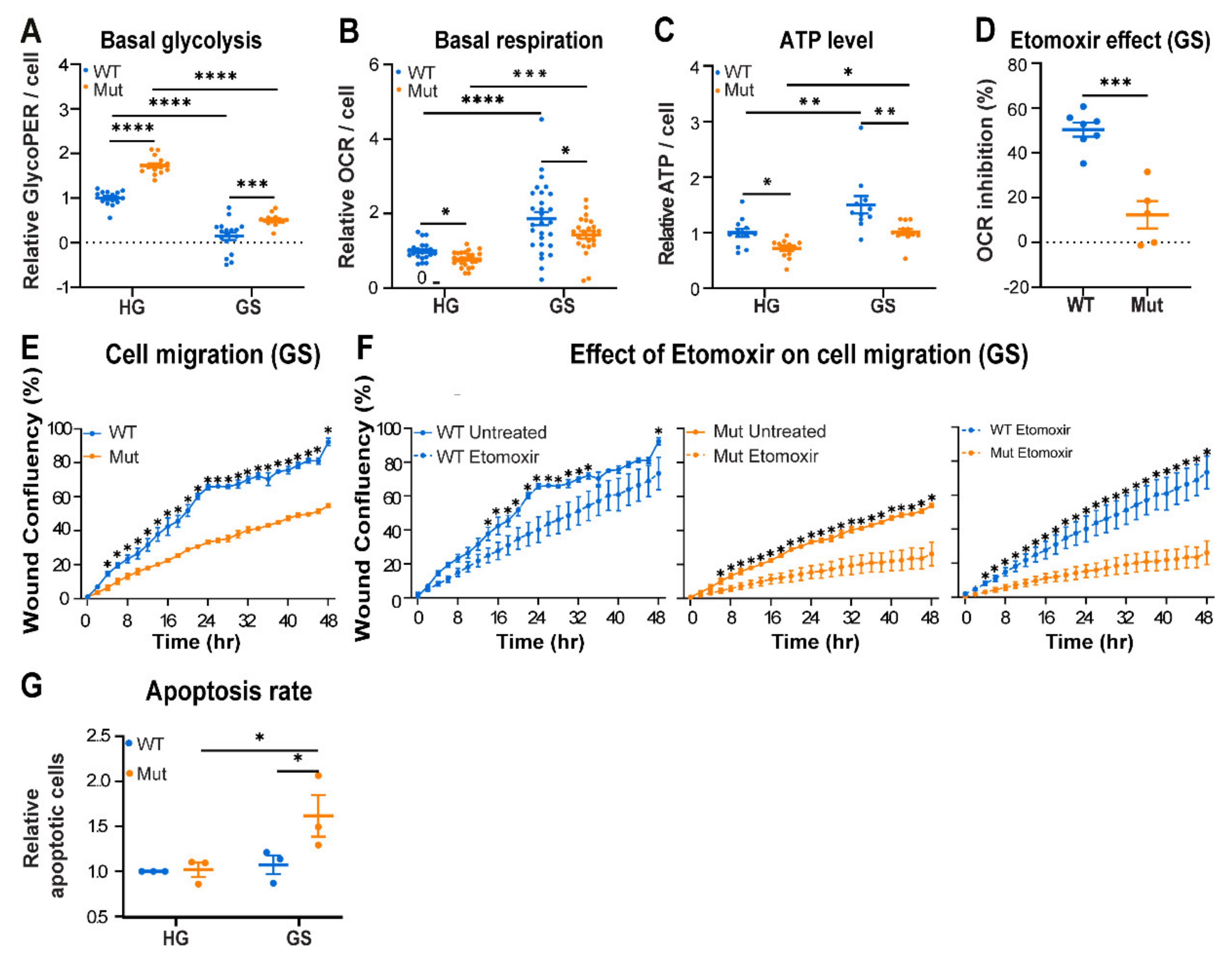 Cells 10 01858 g003 Cells 10 01858 g003