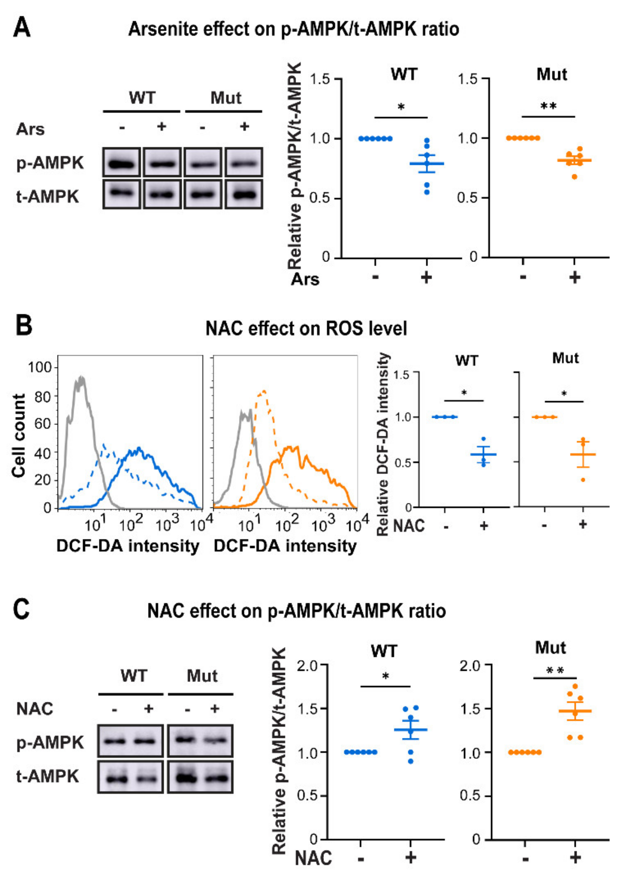 Cells 10 01858 g005 Cells 10 01858 g005