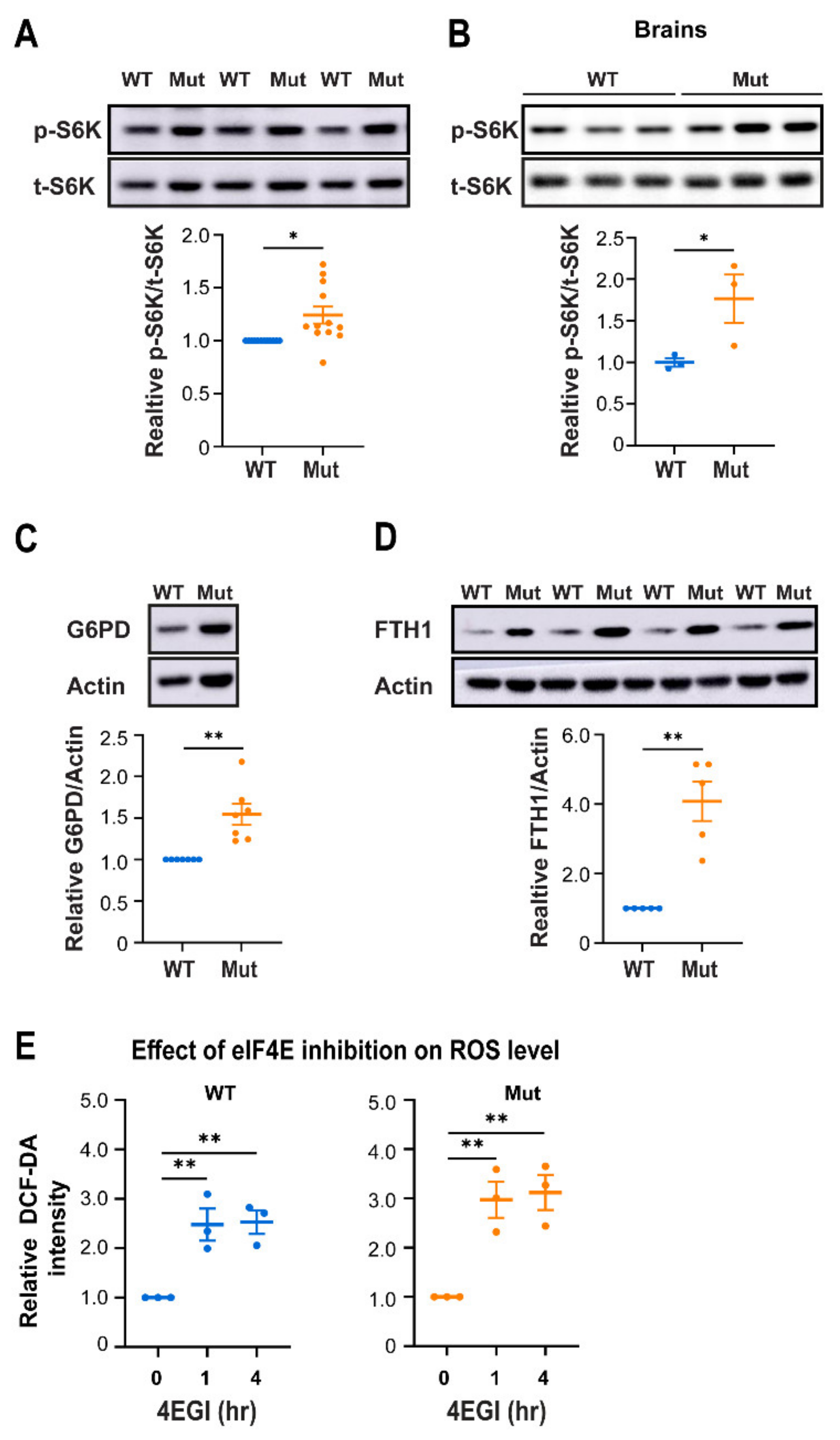 Cells 10 01858 g006 Cells 10 01858 g006