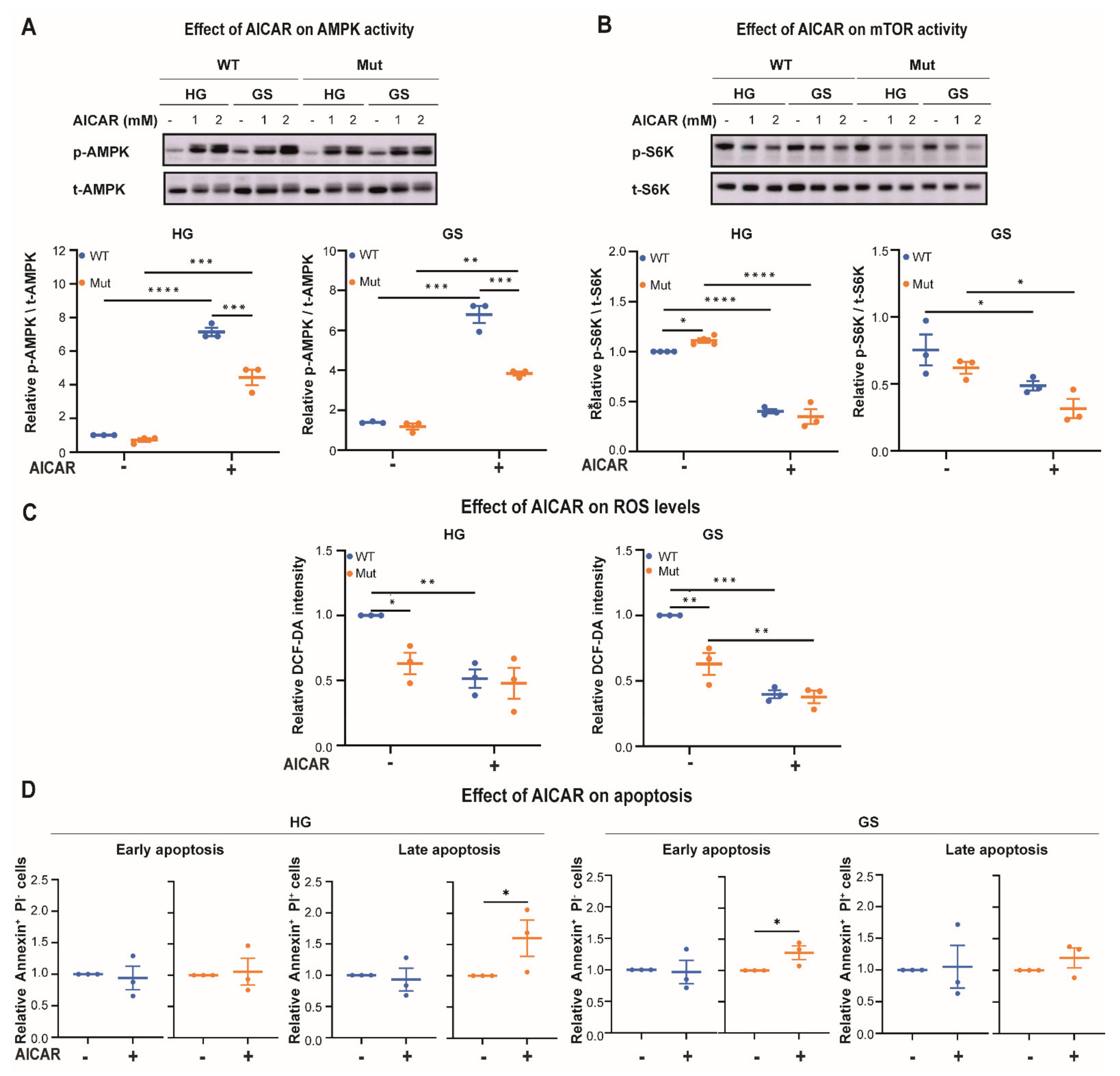 Cells 10 01858 g007 Cells 10 01858 g007