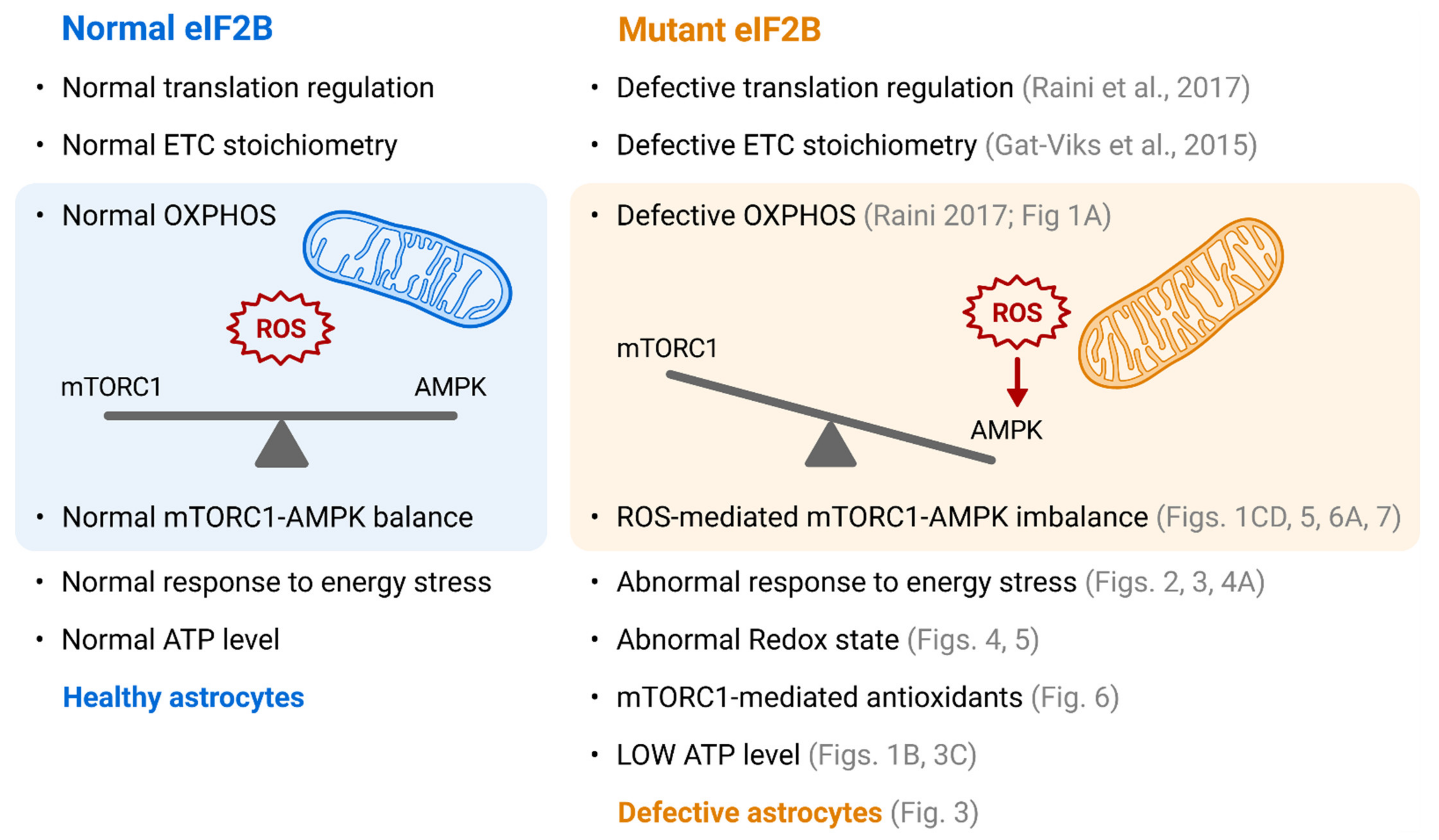 Cells 10 01858 g008 Cells 10 01858 g008