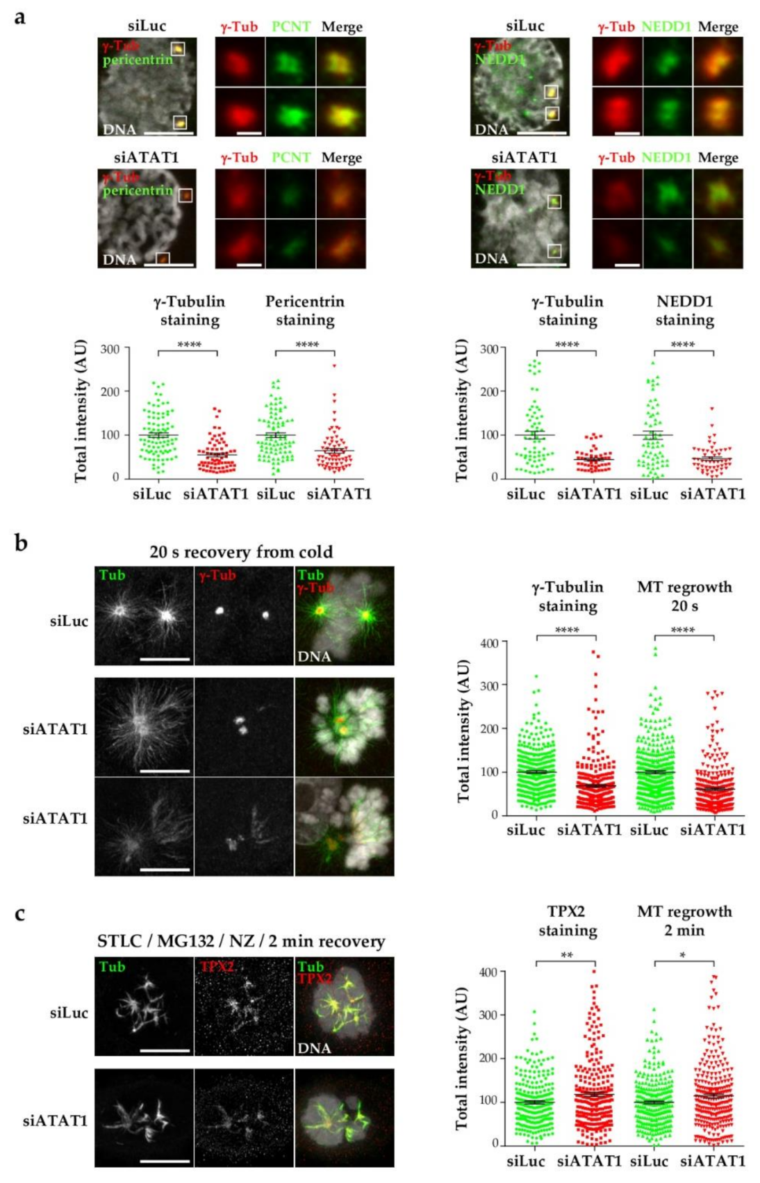Cells 10 01859 g003 Cells 10 01859 g003